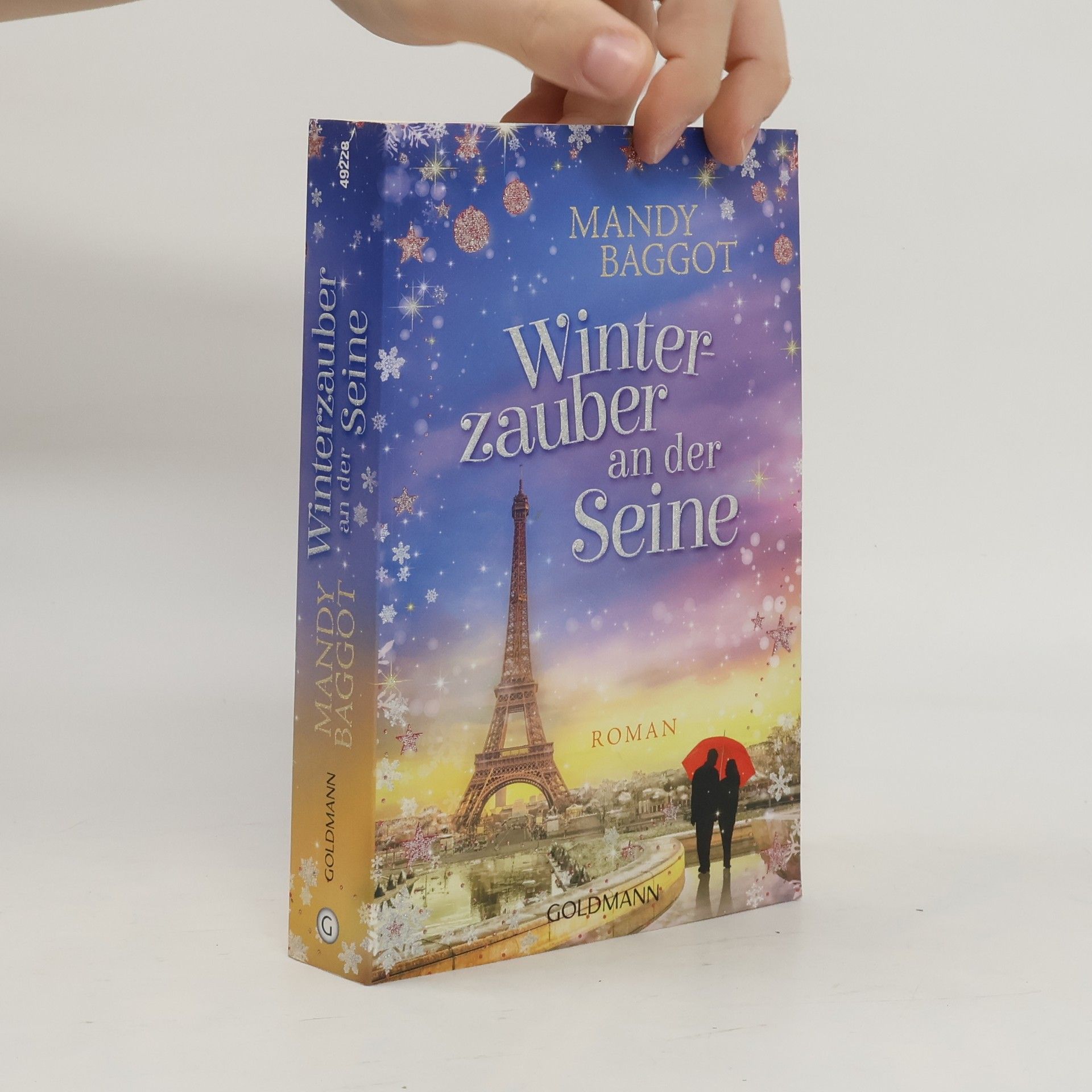 Mandy Baggot Winterzauber an der Seine