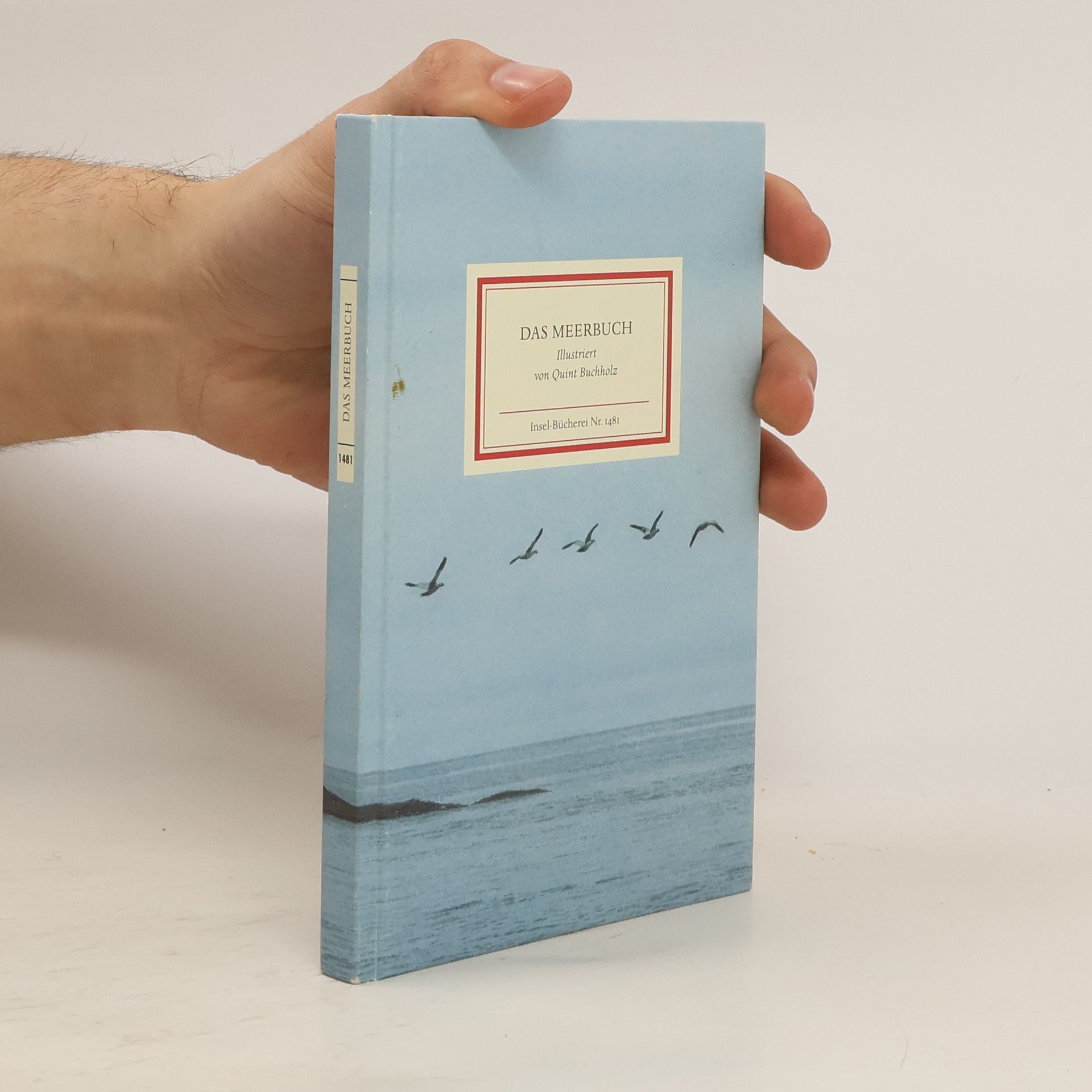 Matthias Reiner Das Meerbuch. Maritimes Geschenkbuch mit Bildern von Quint Buchholz