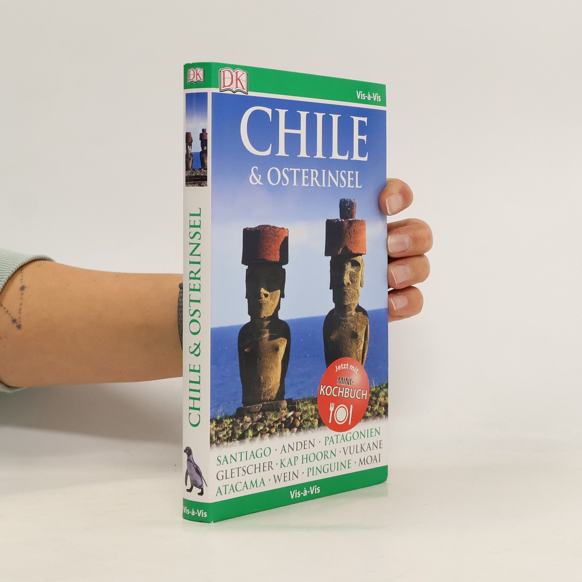 Wayne Bernhardson Vis-à-Vis: Chile & Osterinsel