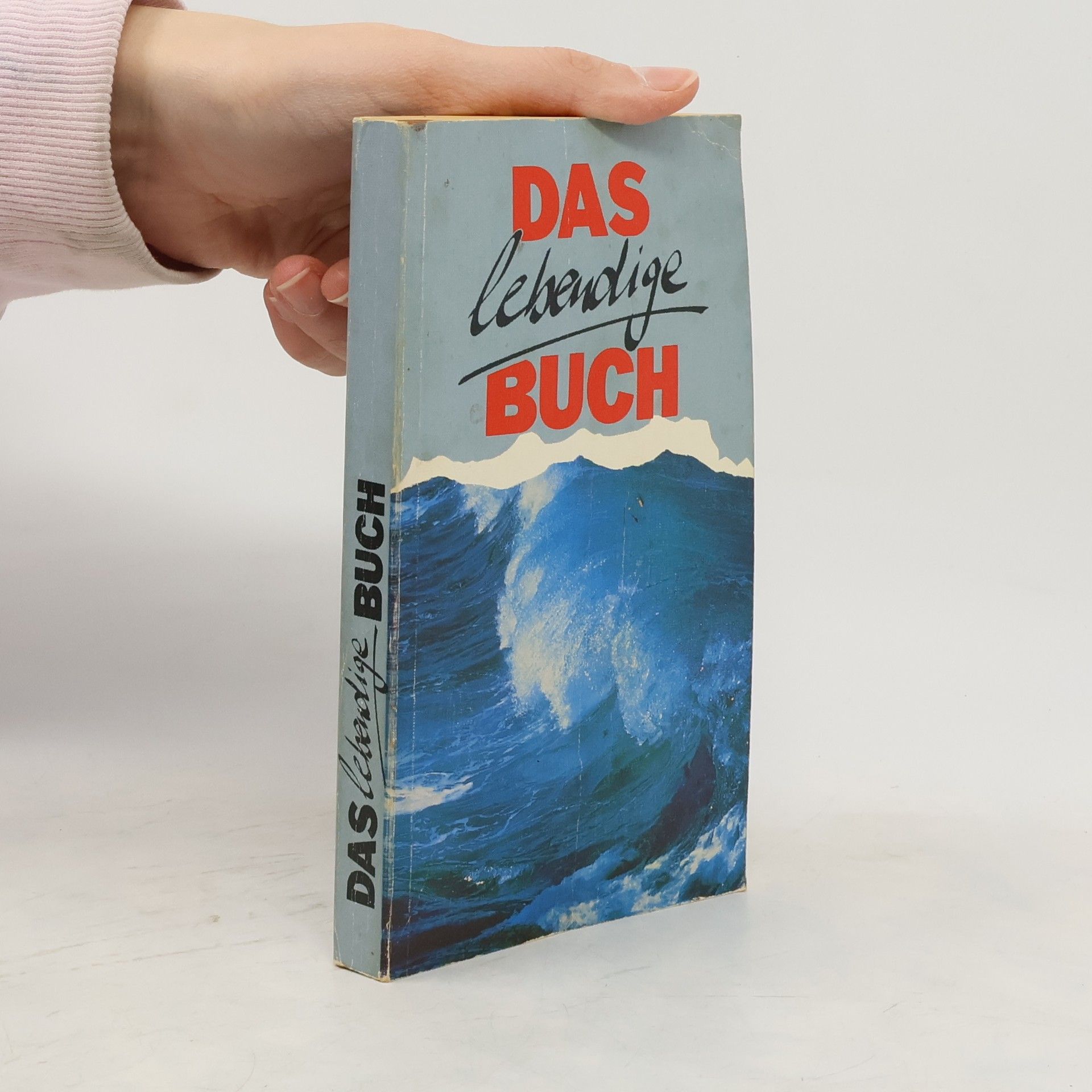 Autorenkollektiv Hoffnung für Alle. Das neue Testament