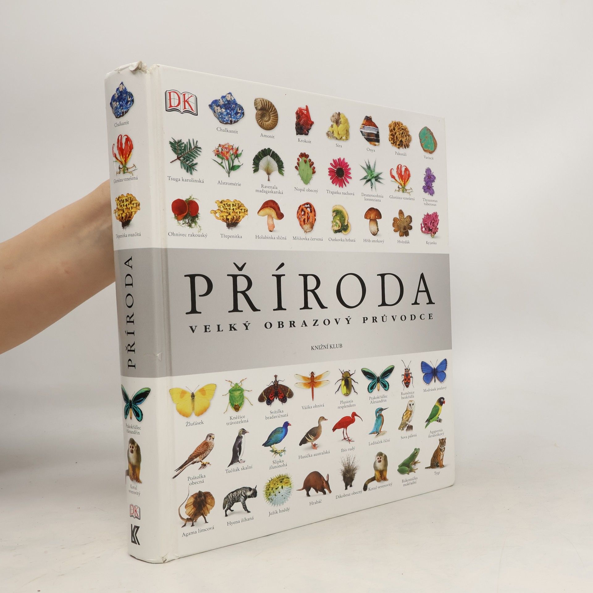 Richard Beatty Příroda – Velký obrazový průvodce