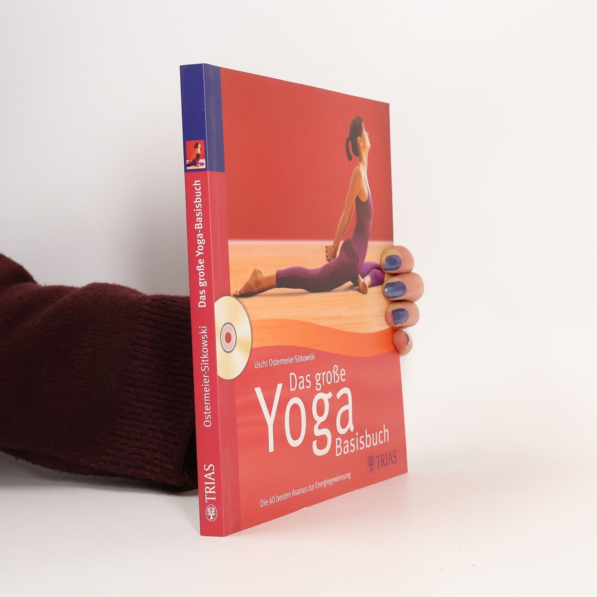Uschi Ostermeier-Sitkowski Das große Yoga Basisbuch