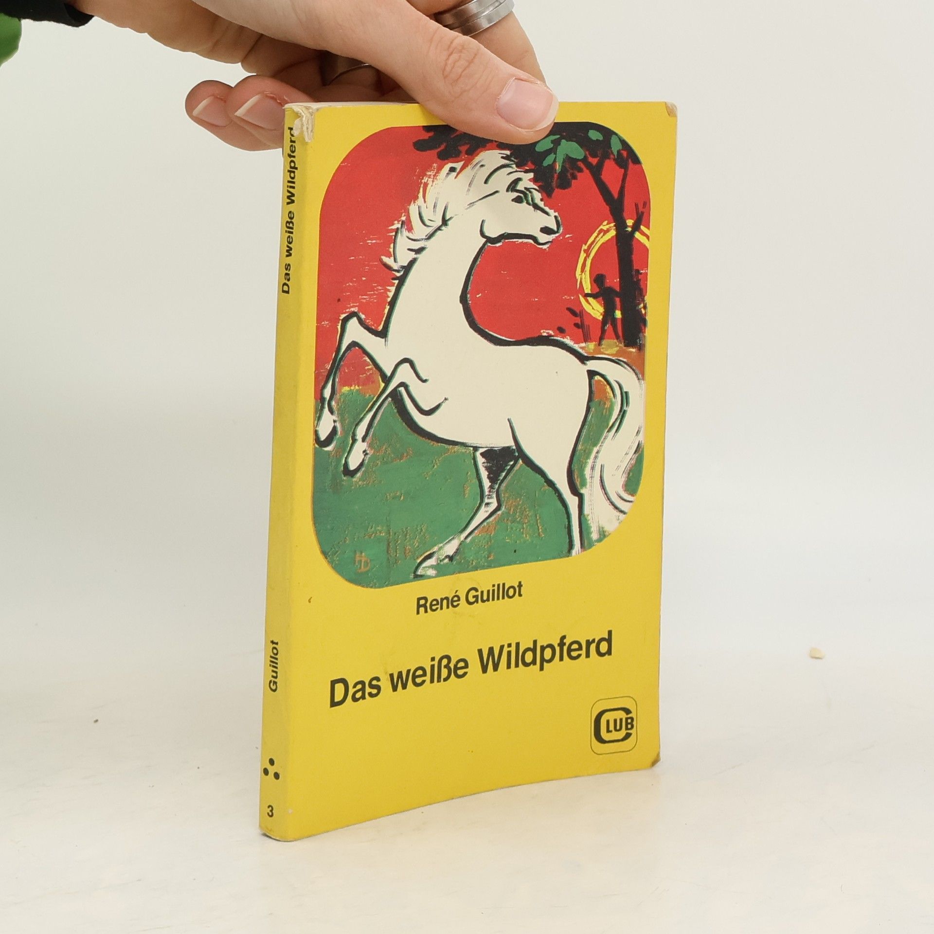 Das weisse Wildpferd