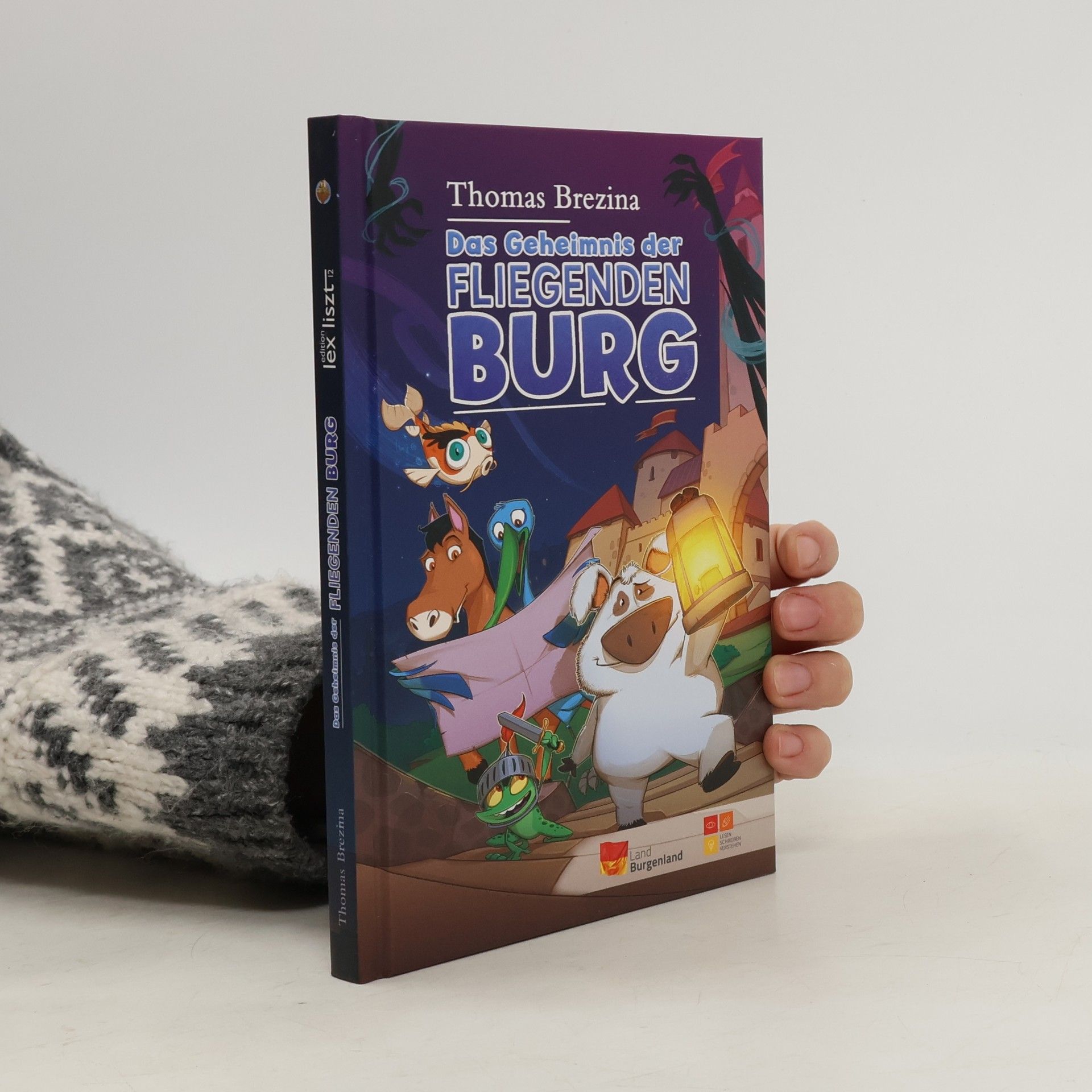 Thomas Brezina Das Geheimnis der Fliegenden Burg
