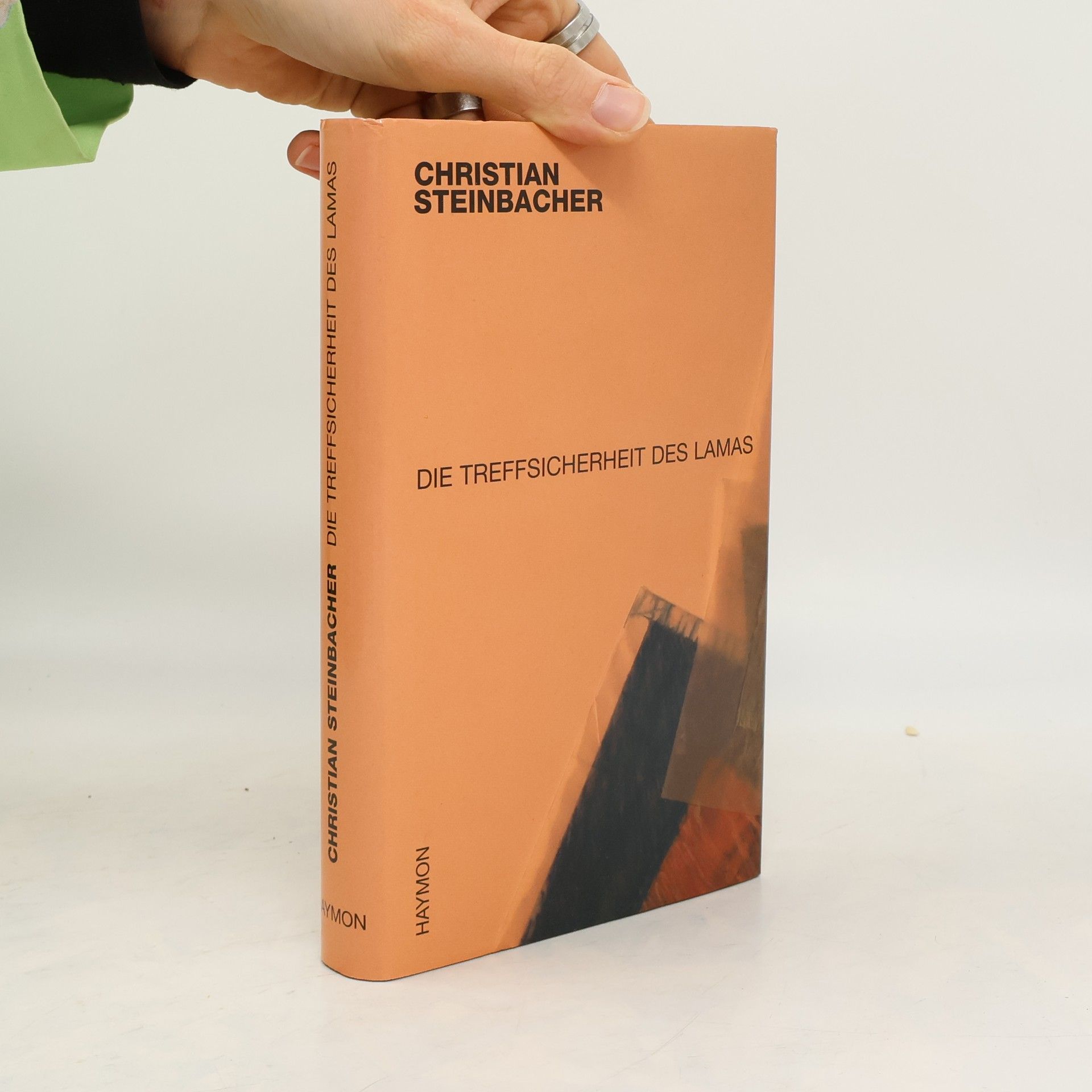 Christian Steinbacher Die Treffsicherheit des Lamas, oder, Von Melancholien, Maul-Würfen und deren Zurückweisung