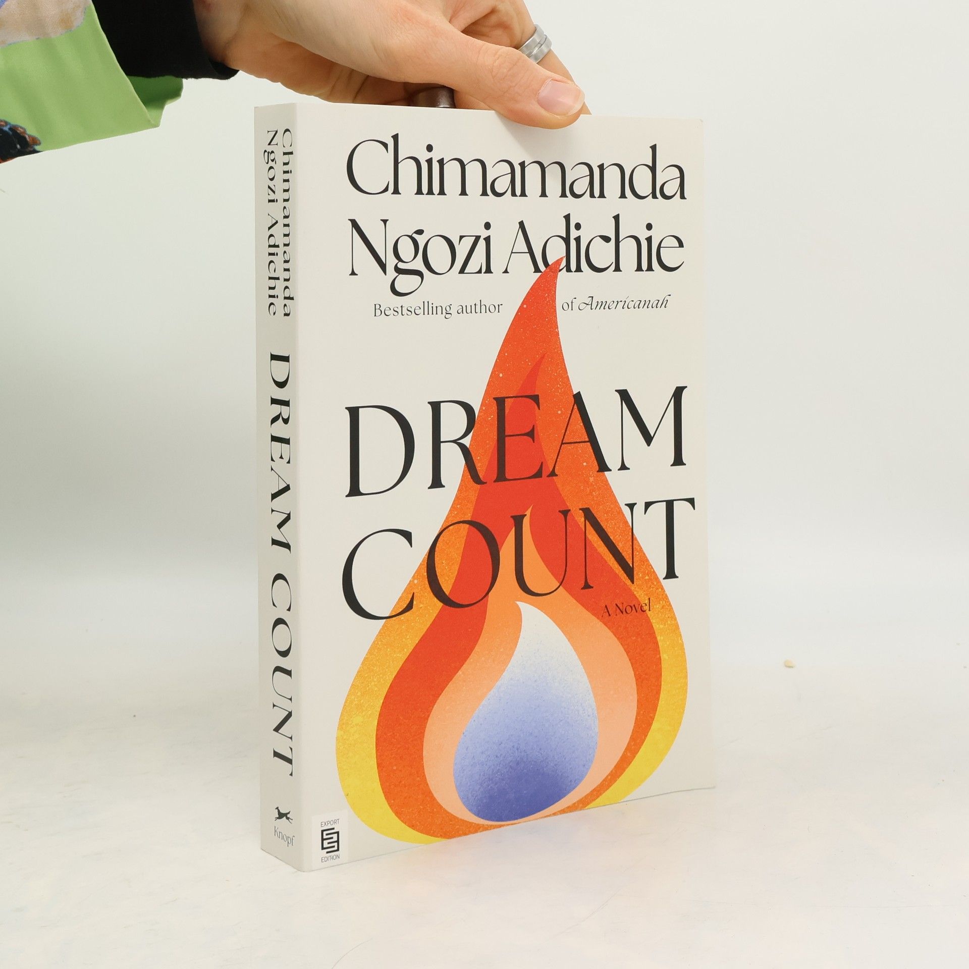 Chimamanda Ngozi Adichie Dream Count