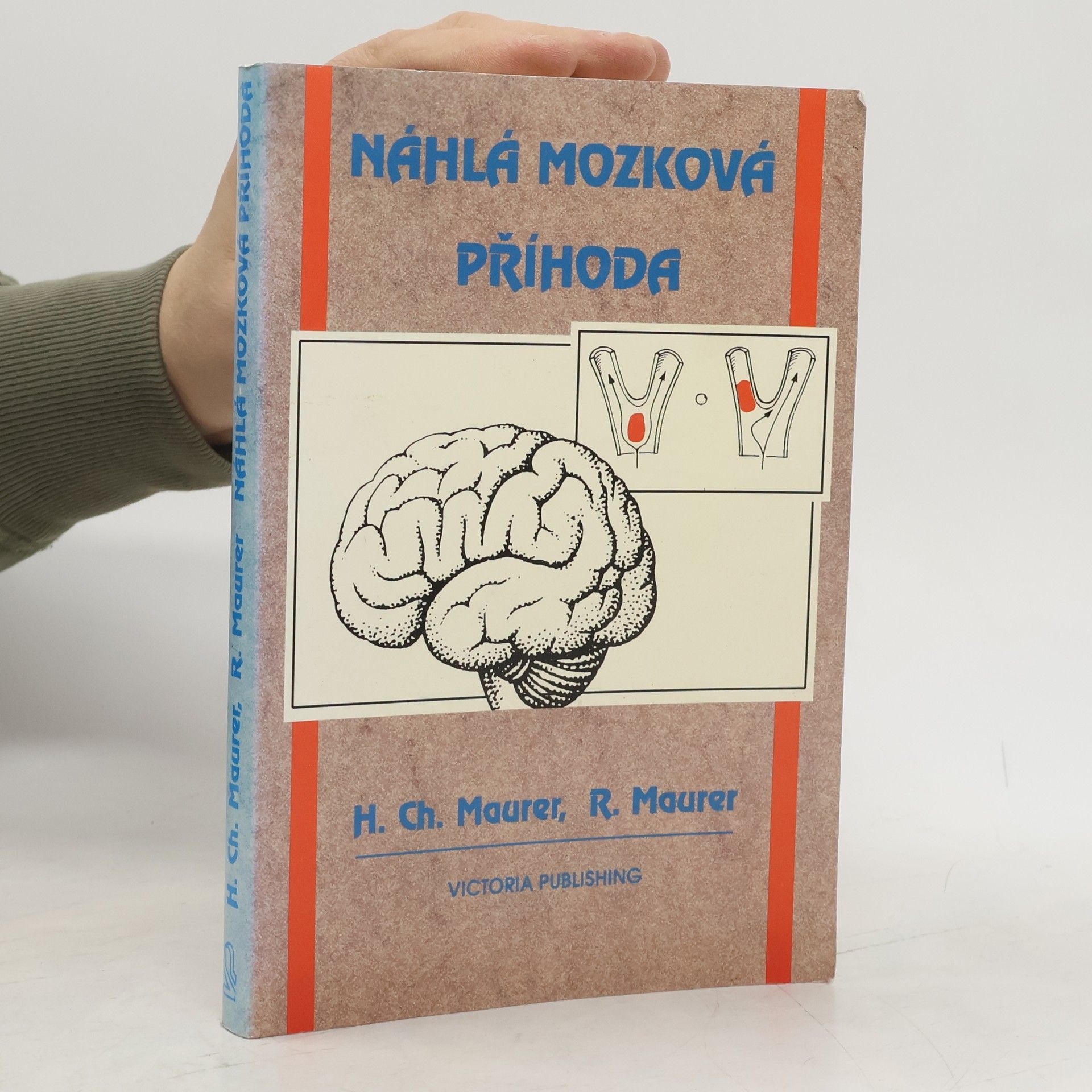 Horst Christian Mäurer Náhlá mozková příhoda