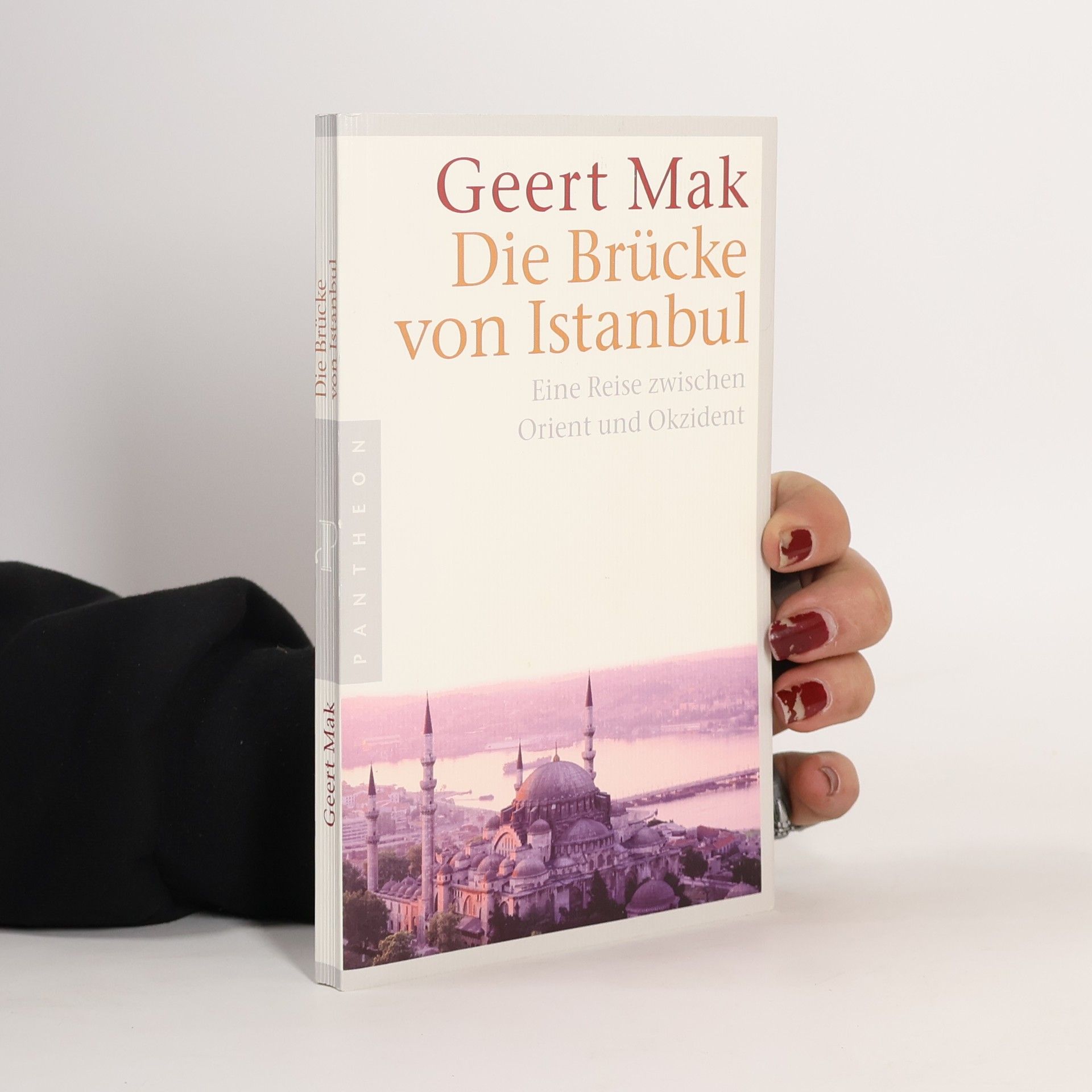 Geert Mak Die Brücke von Istanbul