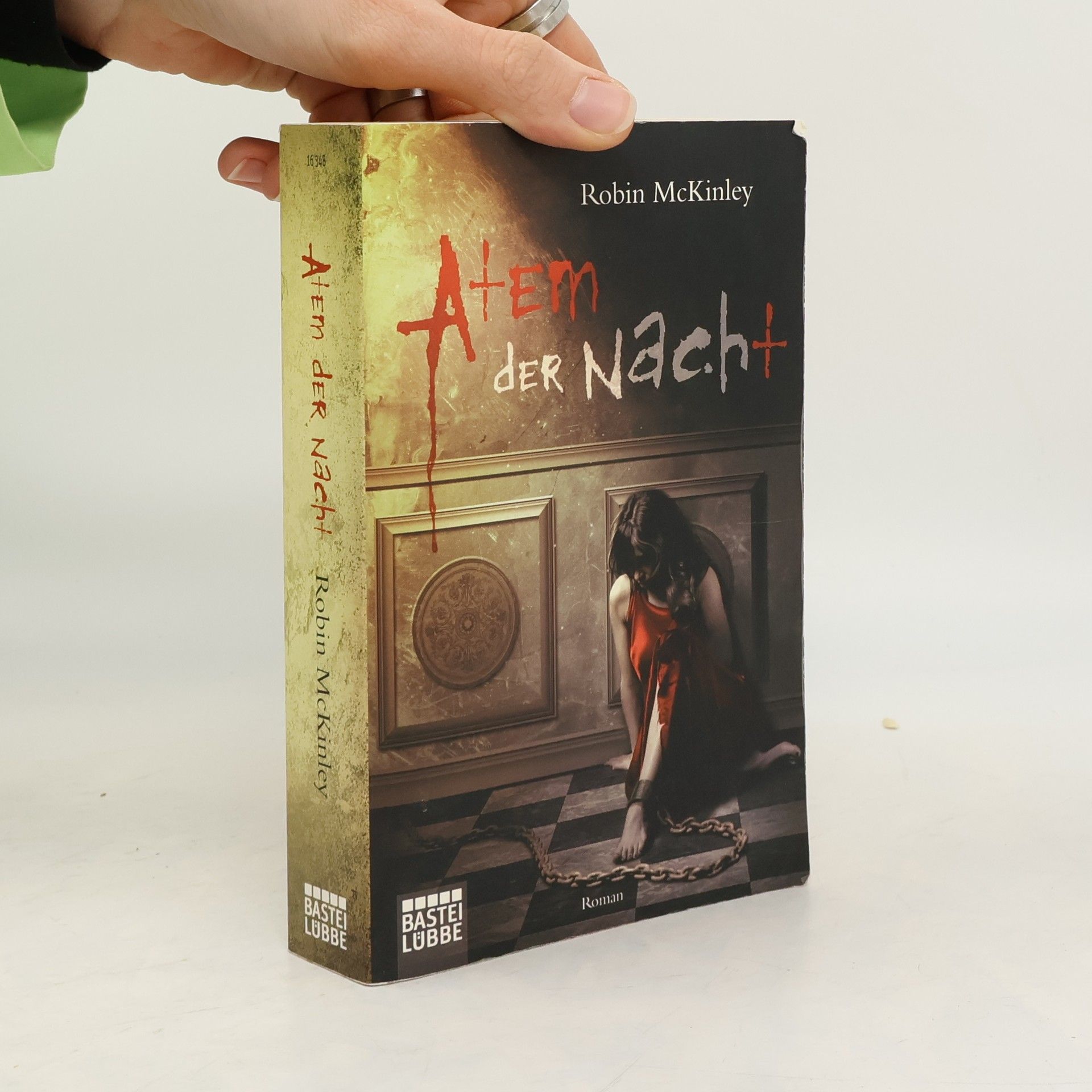 Robin McKinley Atem der Nacht