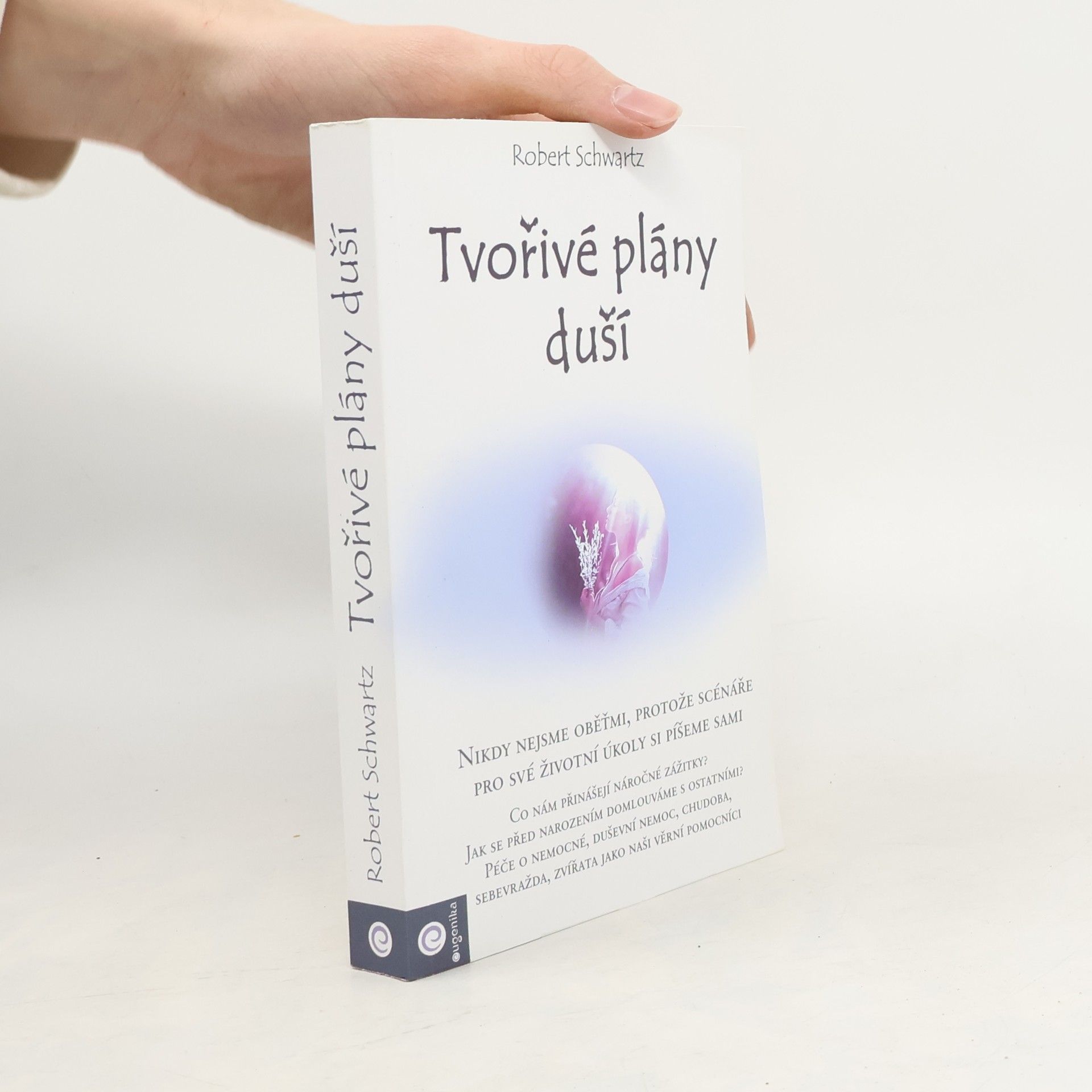 Robert Schwartz Tvořivé plány duší