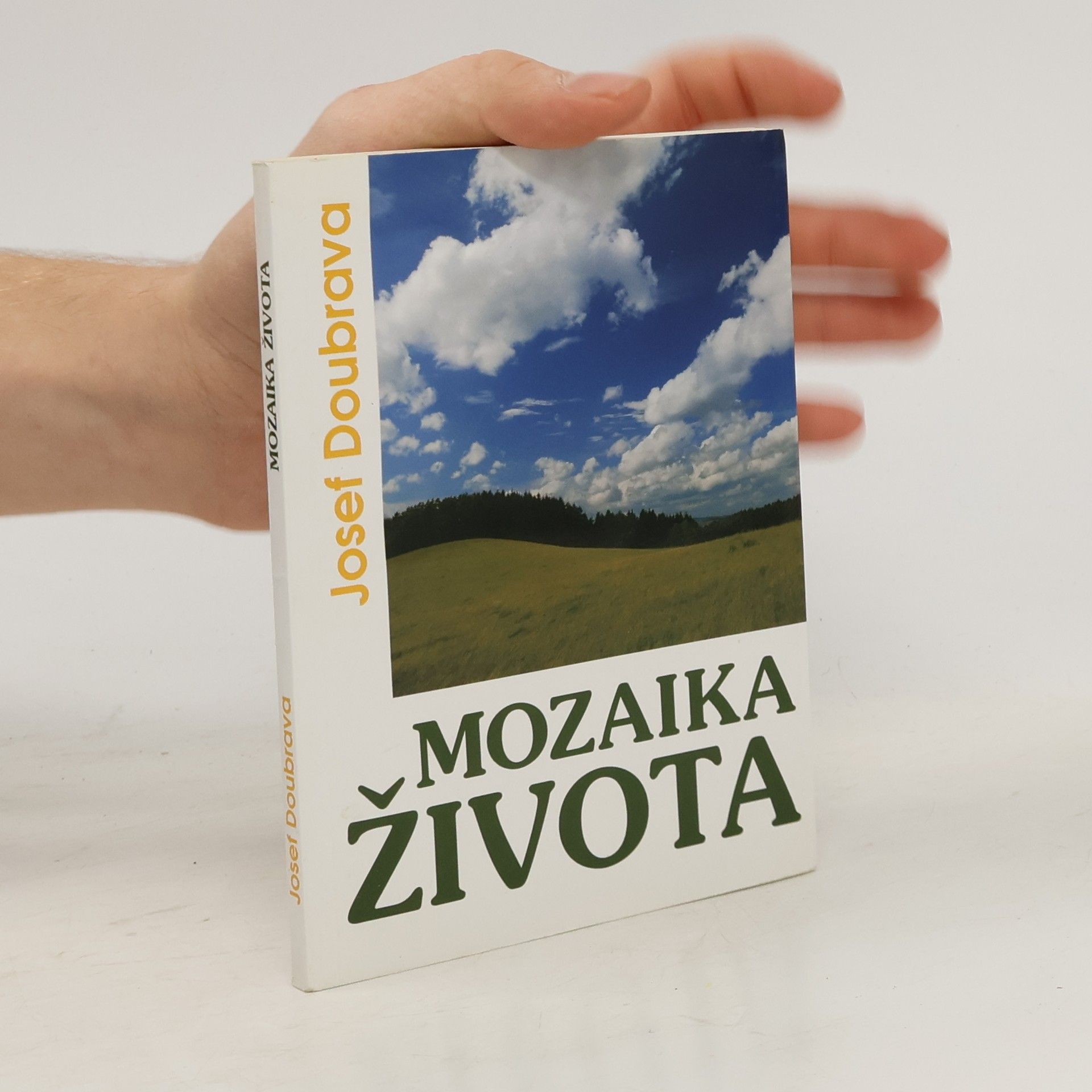 Josef Doubrava Mozaika života