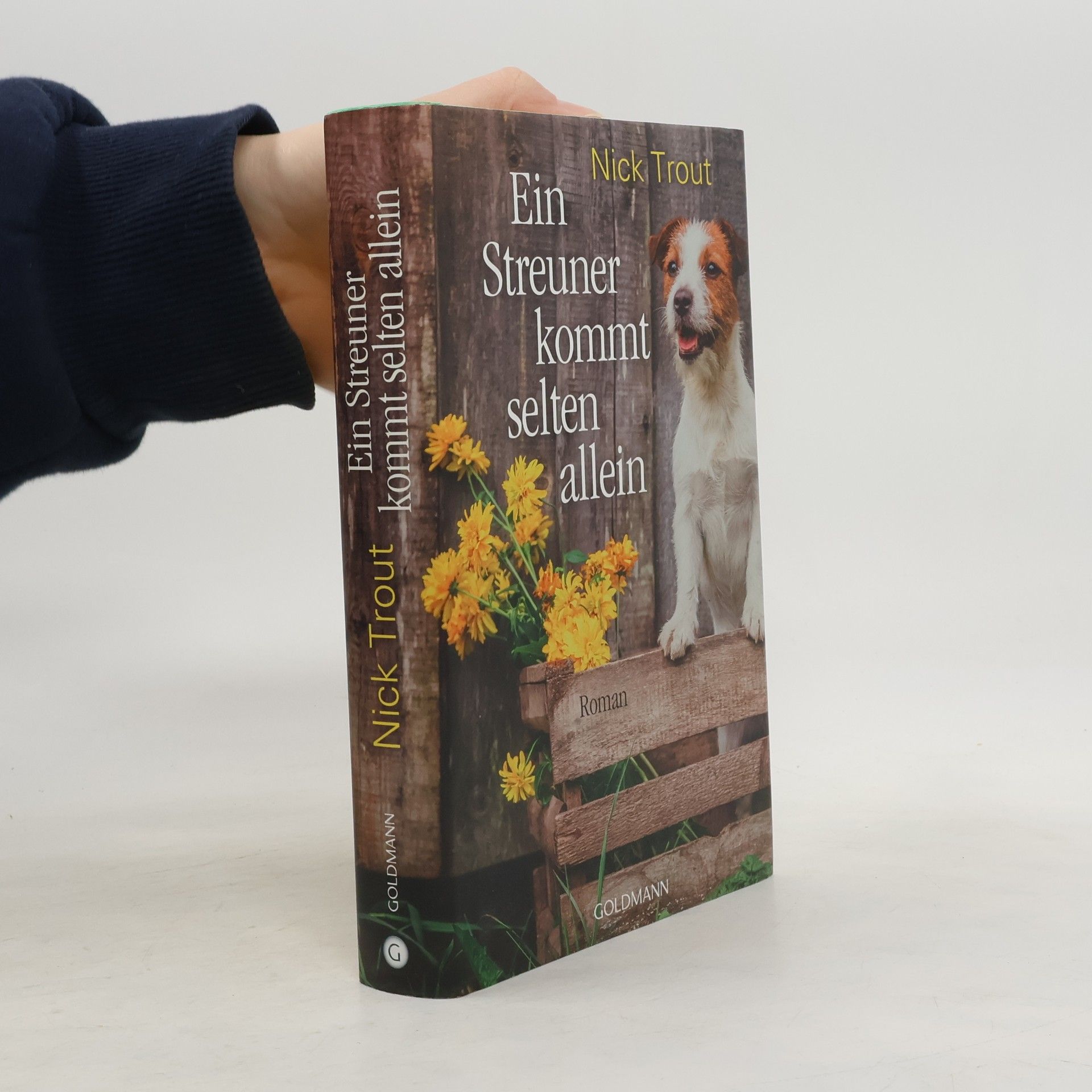 Ein Streuner kommt selten allein