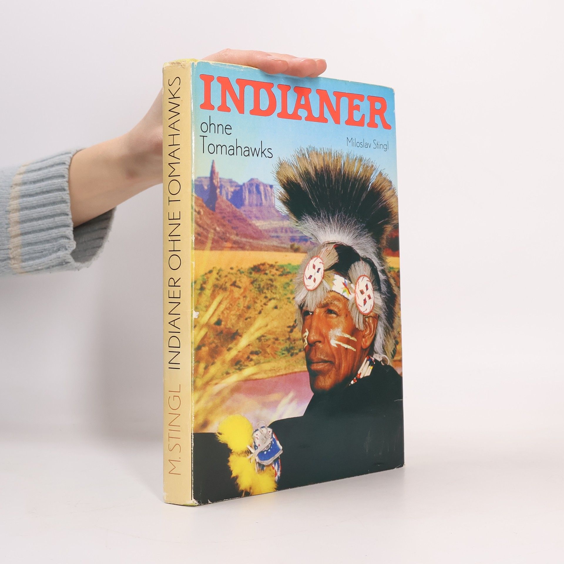 Miloslav Stingl Indianer ohne Tomahawks