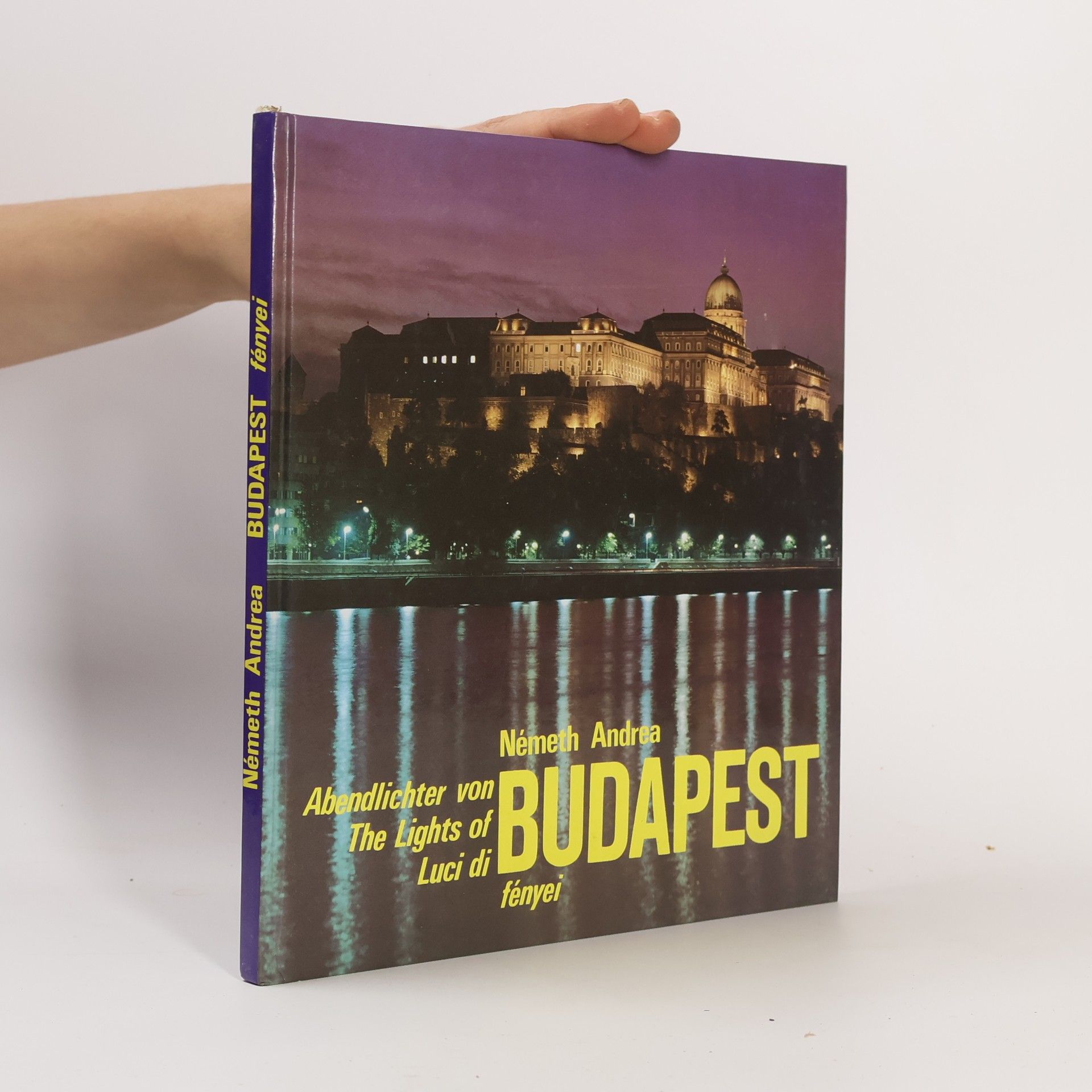 Andrea Ne meth Abendlichter von Budapest