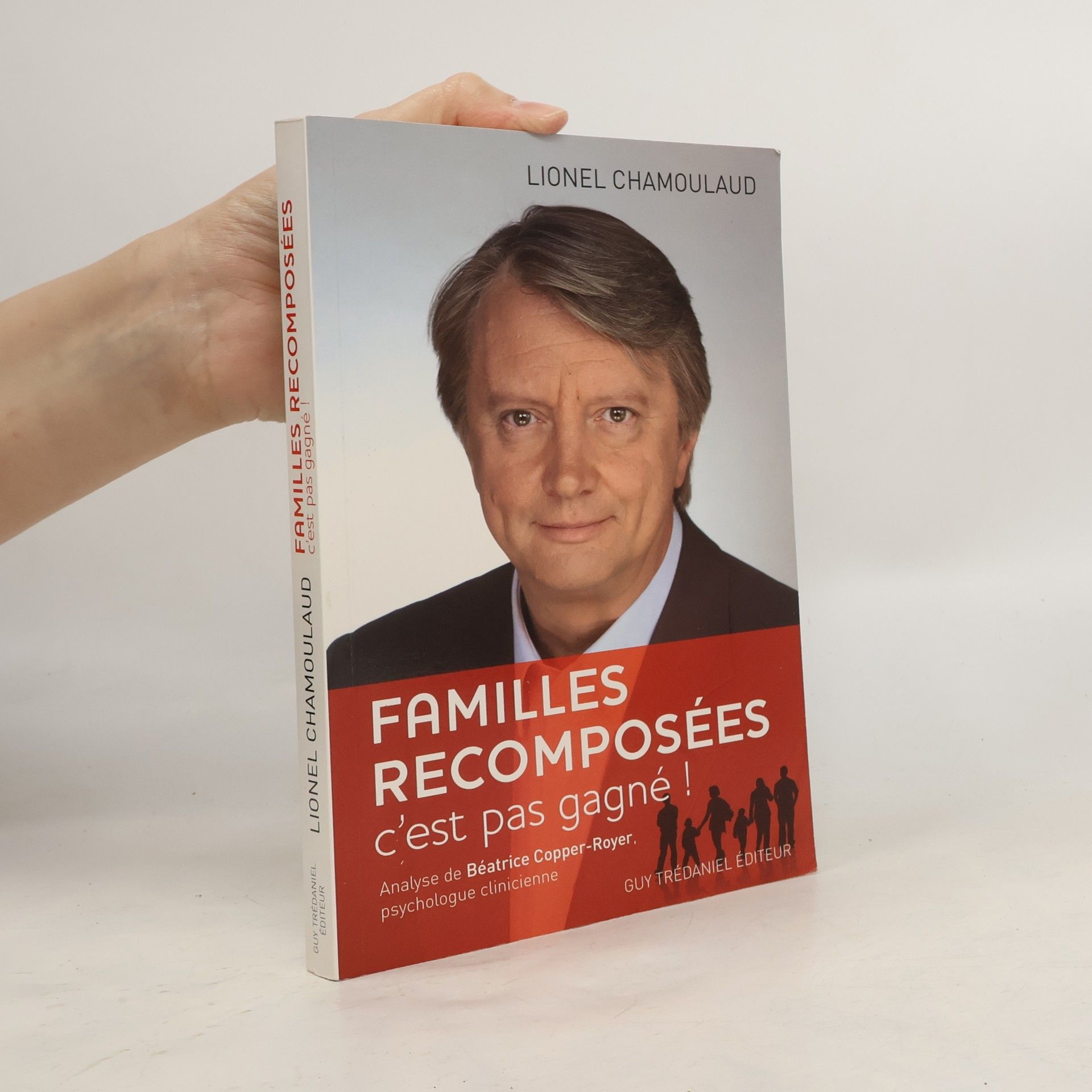 Lionel Chamoulaud Familles recomposées