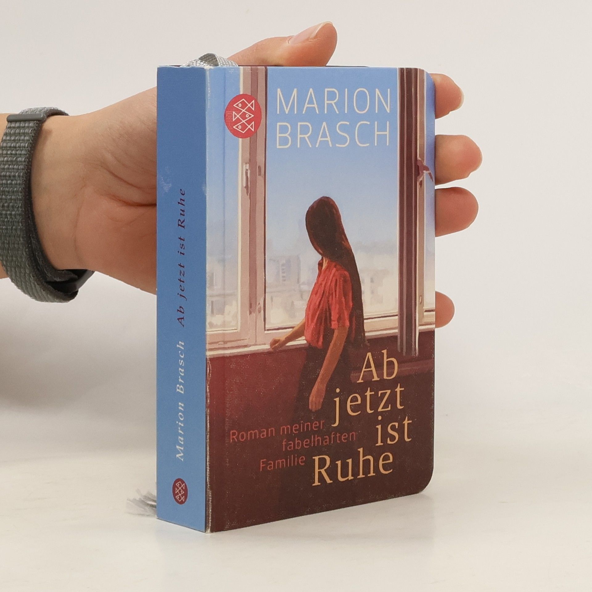 Marion Brasch Ab jetzt ist Ruhe