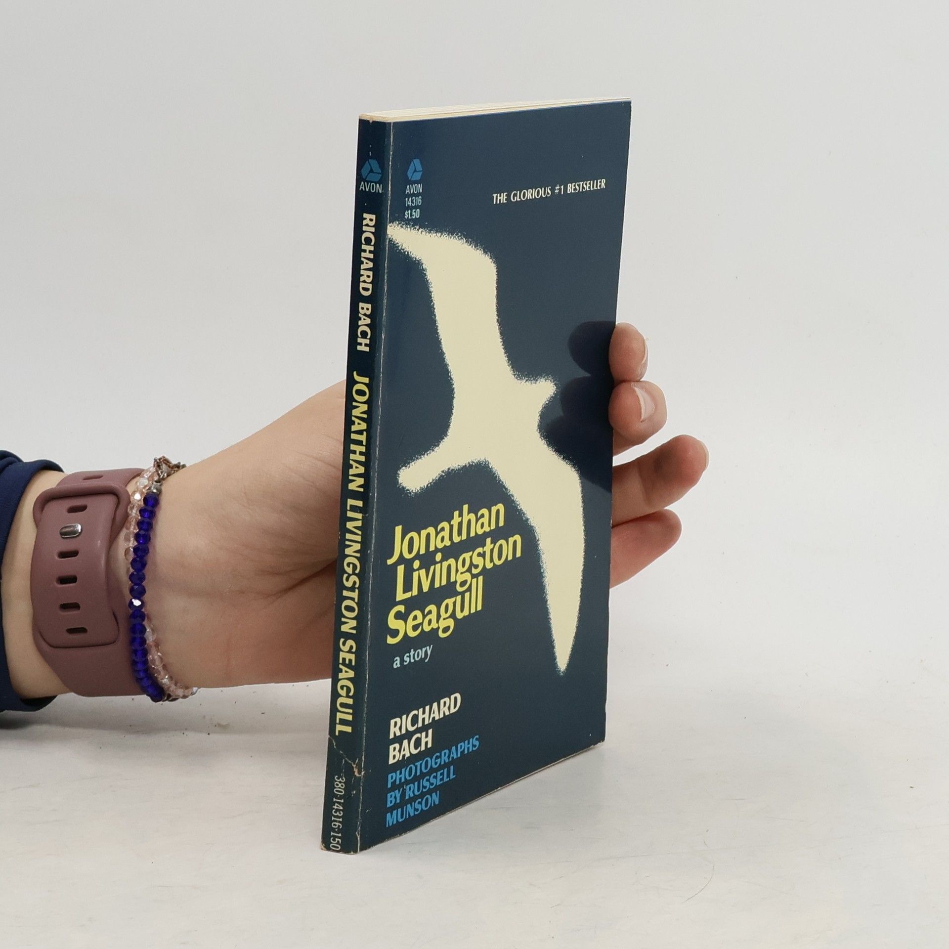 Jonathan Livingston Seagull