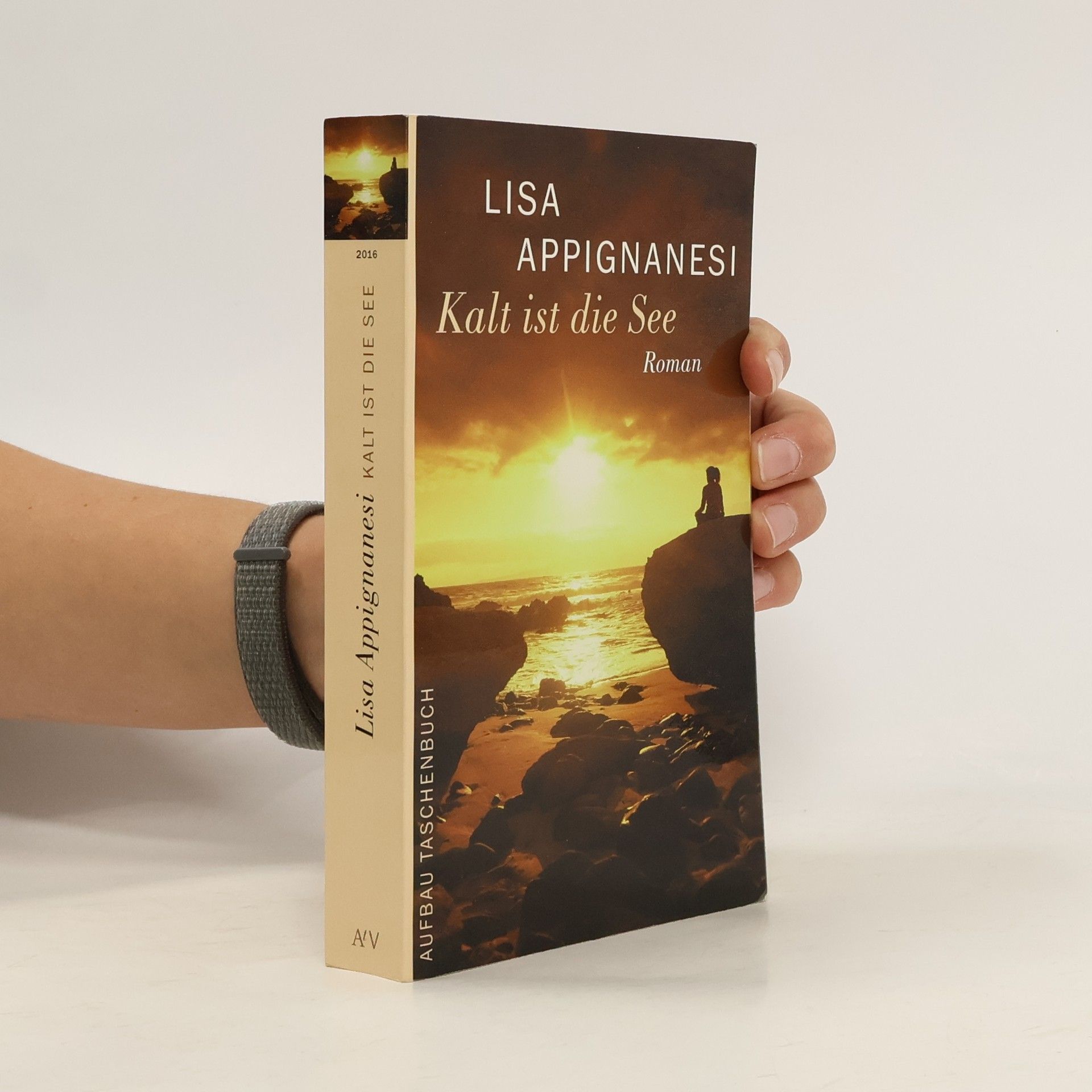 Lisa Appignanesi Kalt ist die See