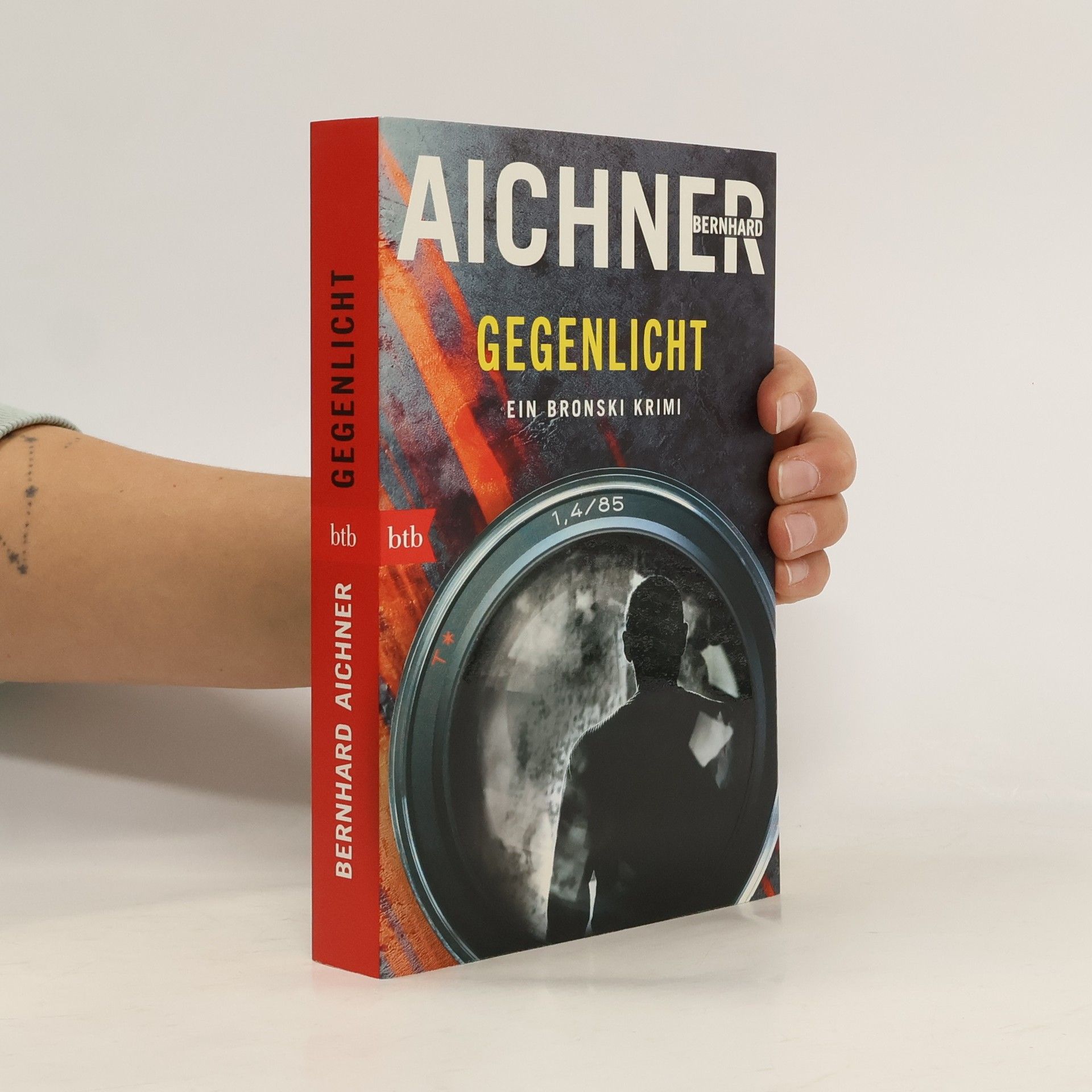 Bernhard Aichner Gegenlicht