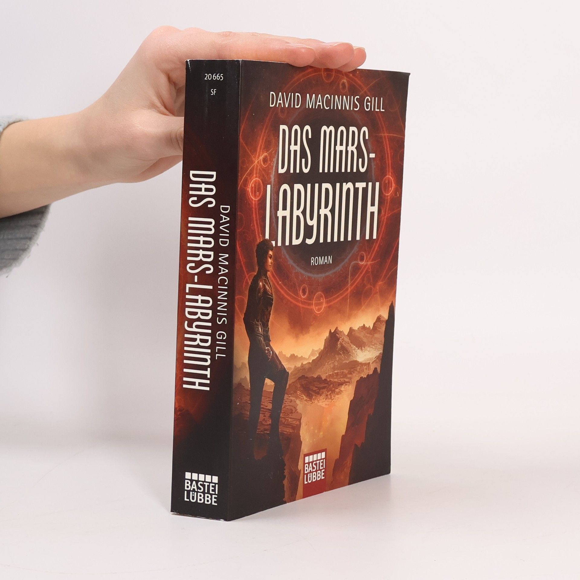 David Macinnis Gill Das Mars-Labyrinth