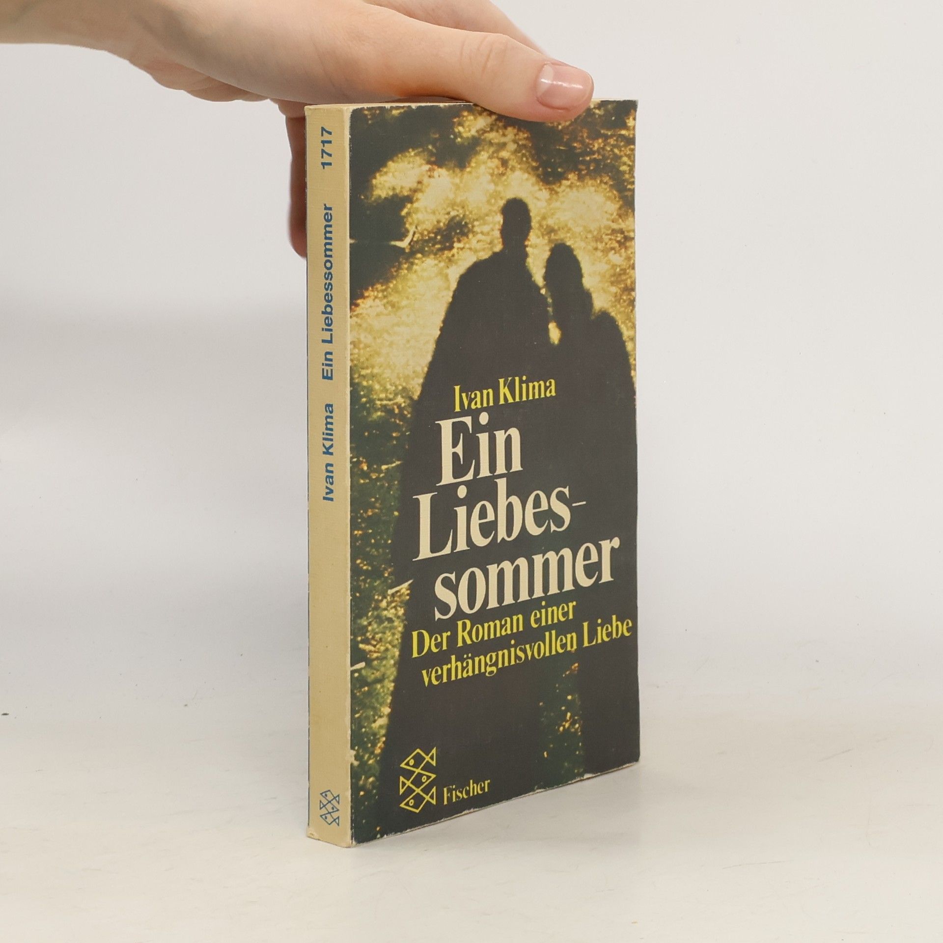 Ivan Klíma Ein Liebessommer