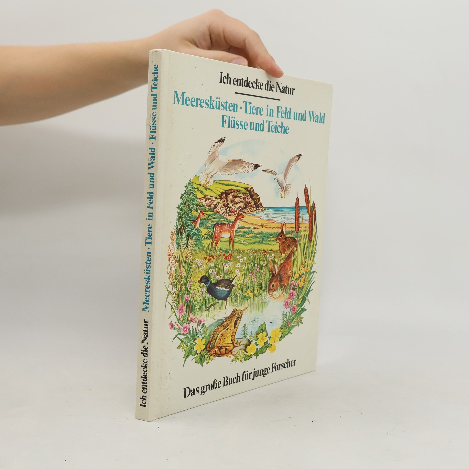 Collectif d'auteurs Ich entdecke die Natur: Meeresküsten, Tiere in Feld und Wald, Flüsse und Teiche