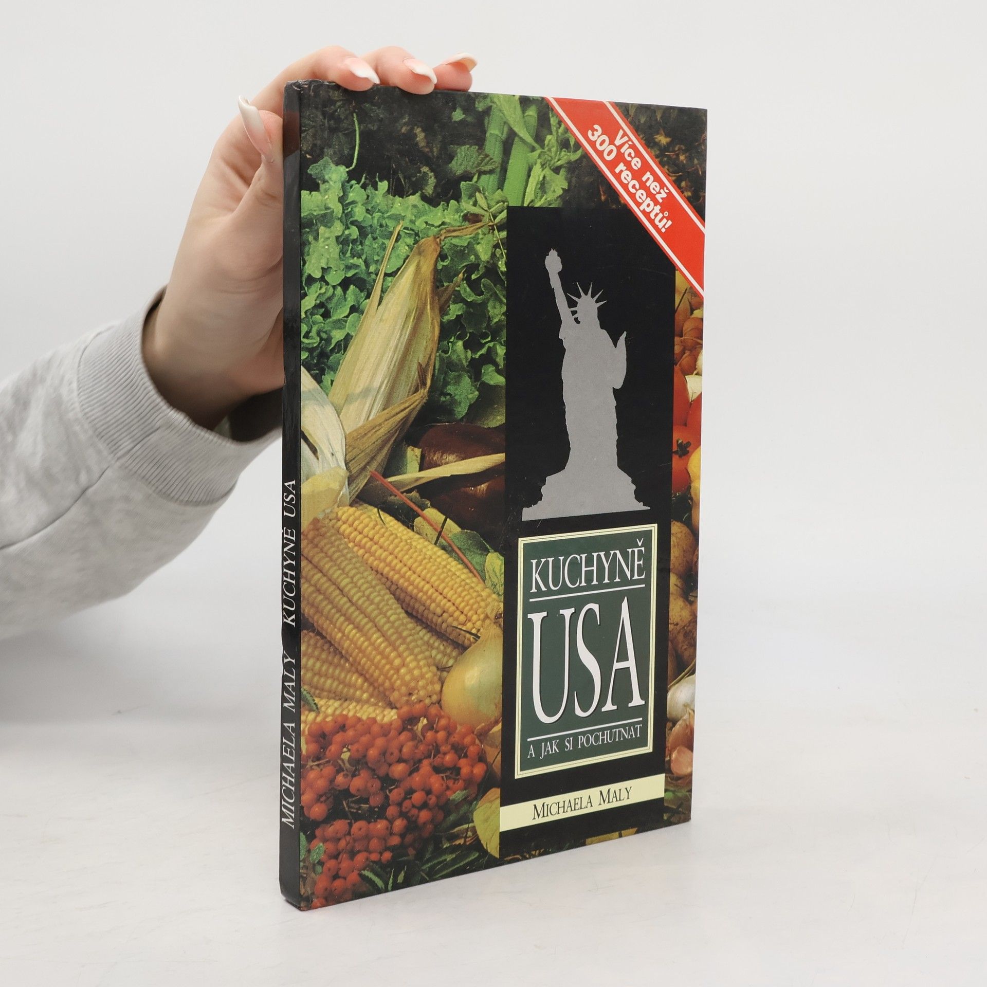 Michaela Maly Kuchyně USA a jak si pochutnat