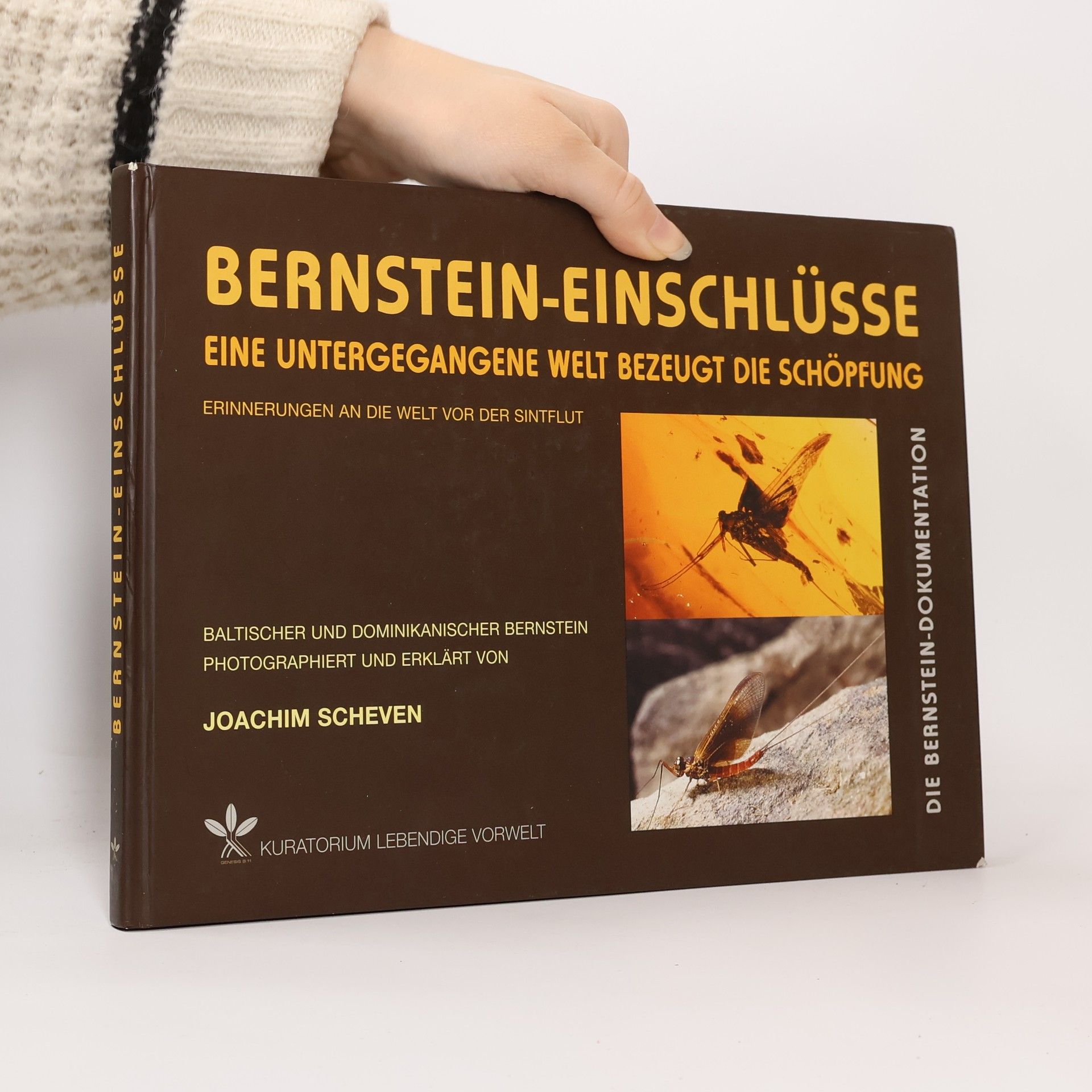 Joachim Scheven Bernstein-Einschlüsse