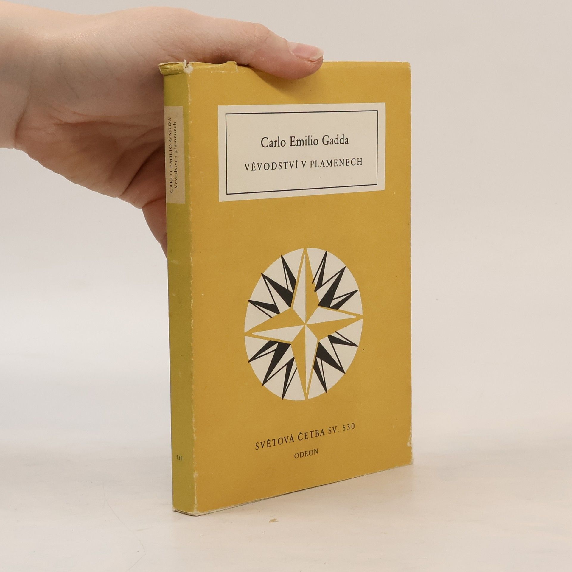 Carlo Emilio Gadda Vévodství v plamenech