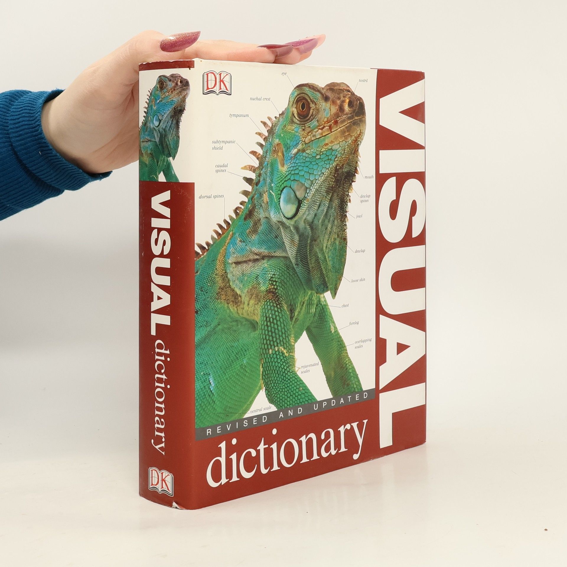 Visual Dictionary