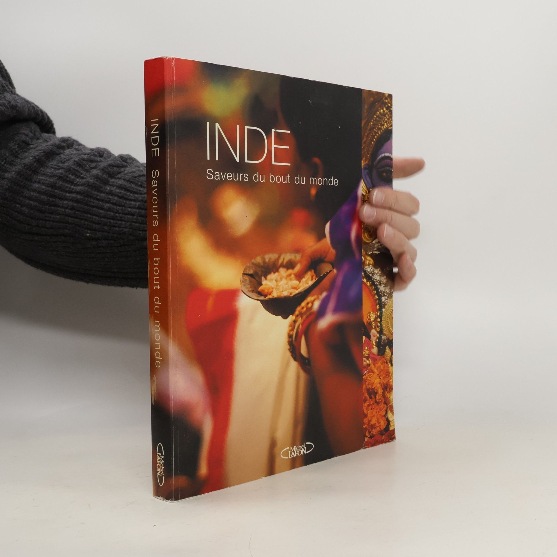 Jason Lowe Inde saveurs du bout du monde (French Edition)