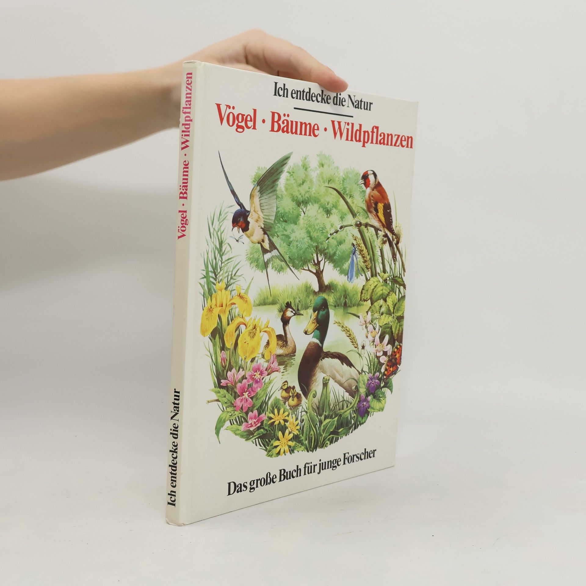 Kolektiv autorů Ich entdecke die Natur. Vögel, Bäume, Wildpflanzen