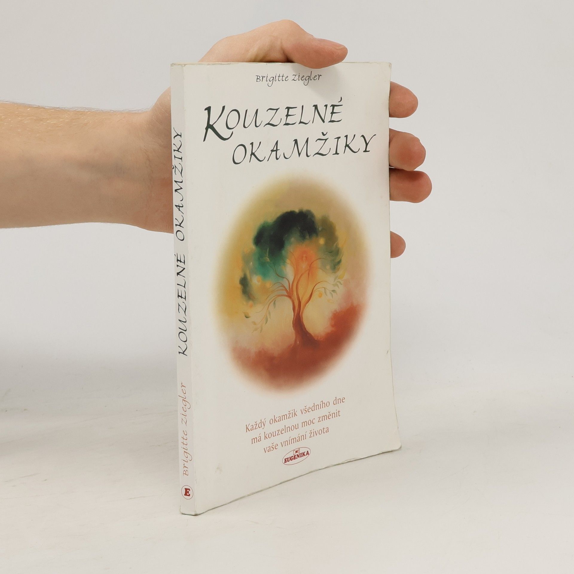 Brigitte Ziegler Kouzelné okamžiky