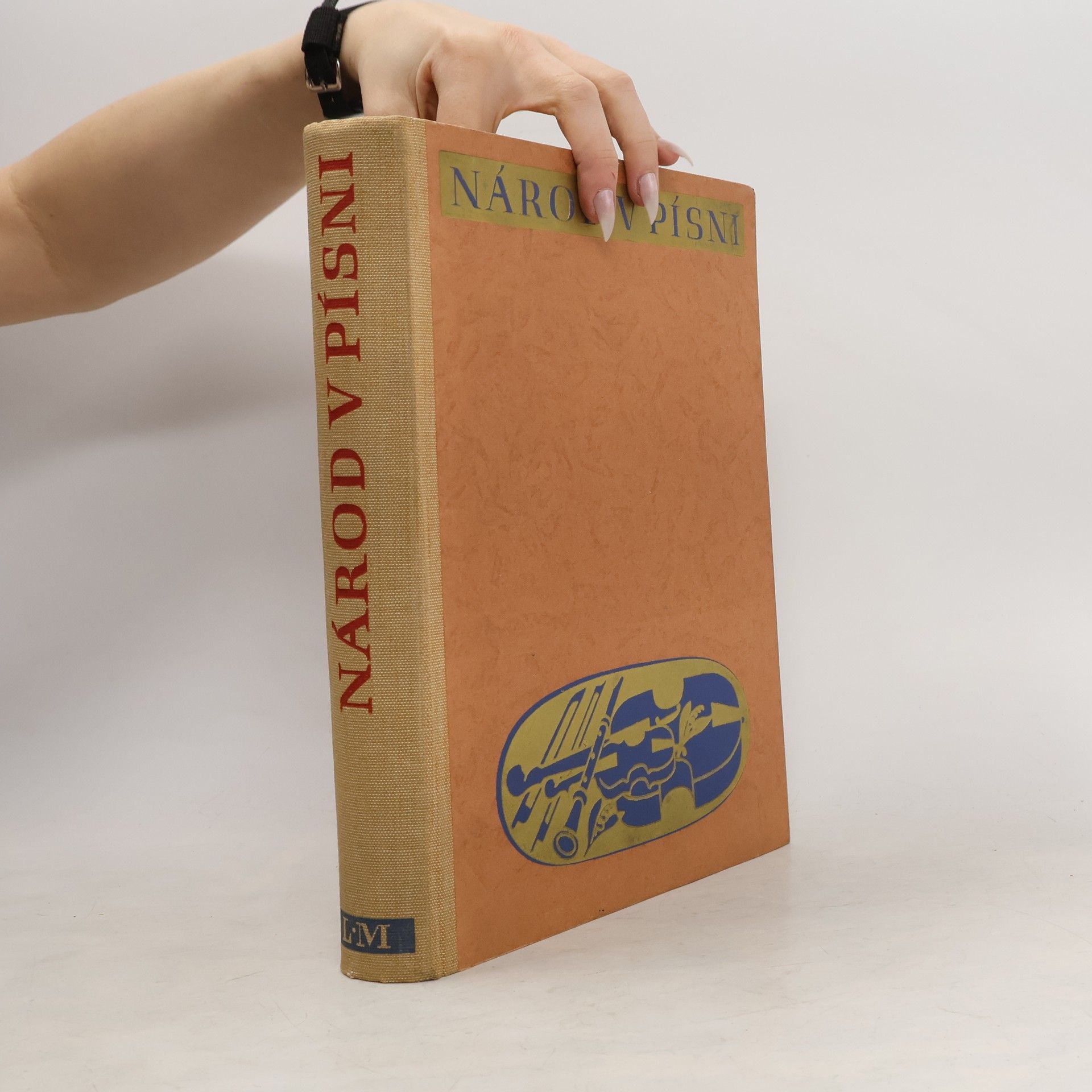 Autores varios Národ v písni