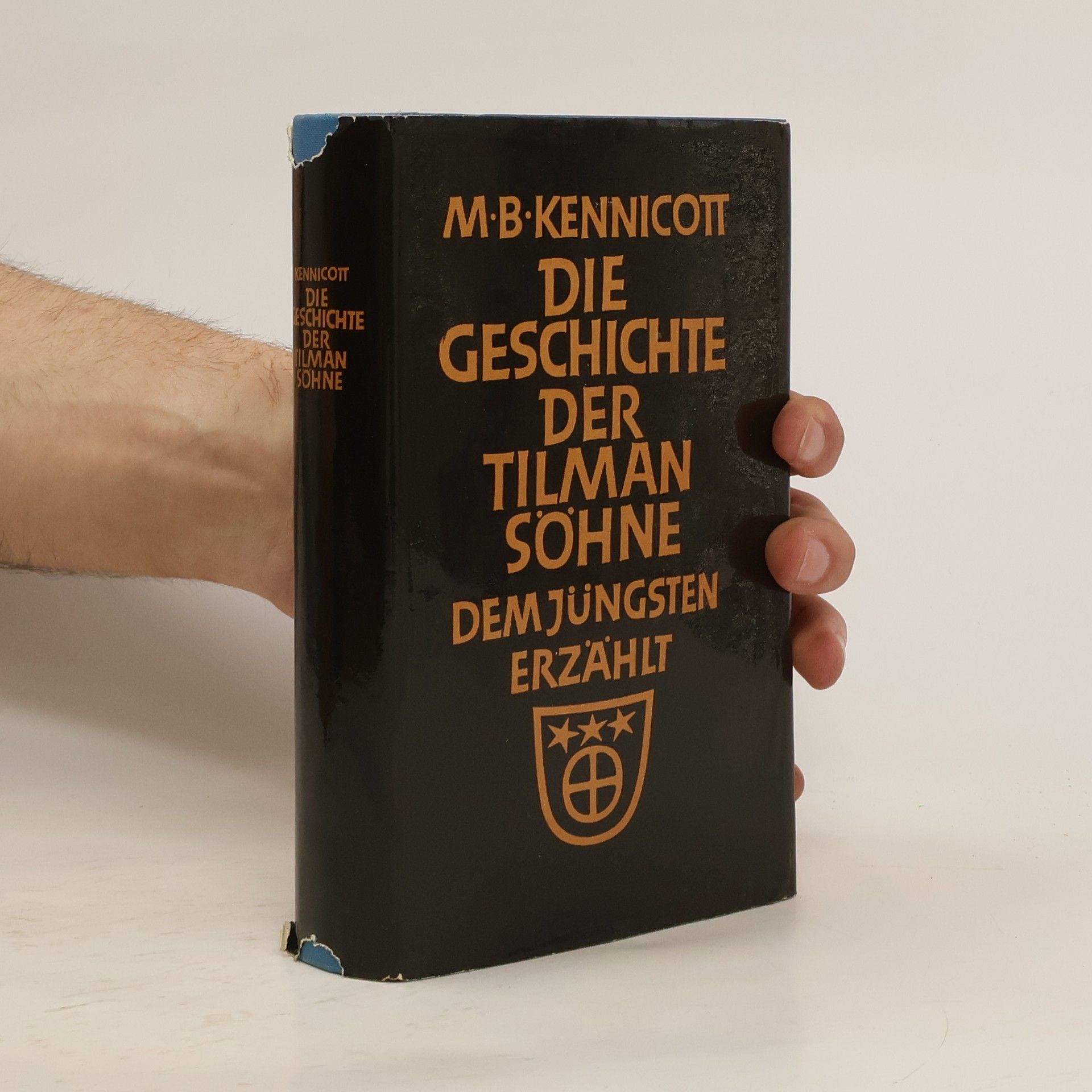 Mervyn Brian Kennicott Die Geschichte der Tilmansöhne