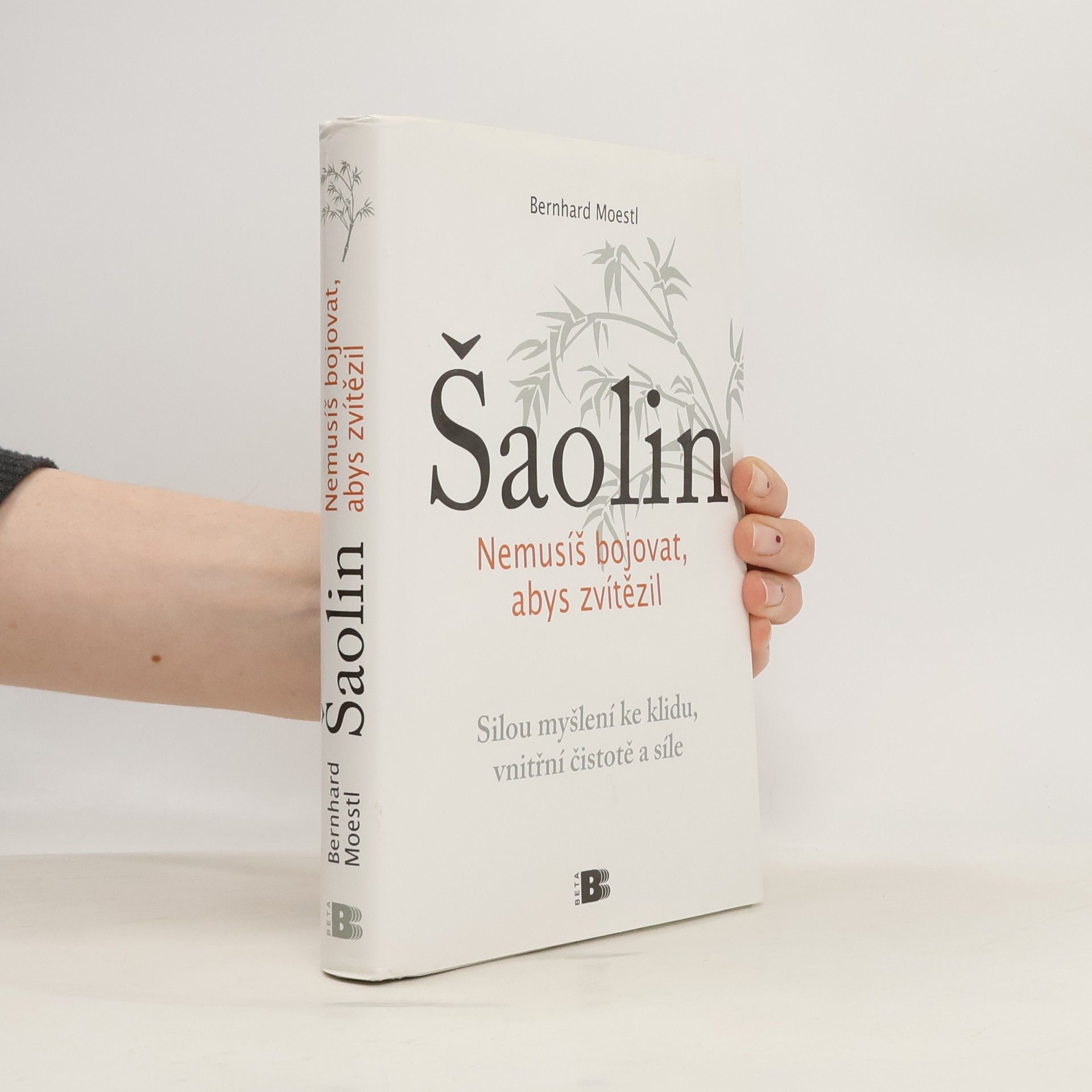 Bernhard Moestl Šaolin: Nemusíš bojovat, abys zvítězil