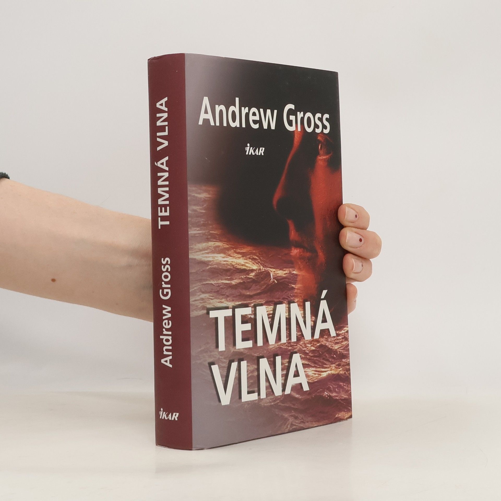 Andrew Gross Temná vlna
