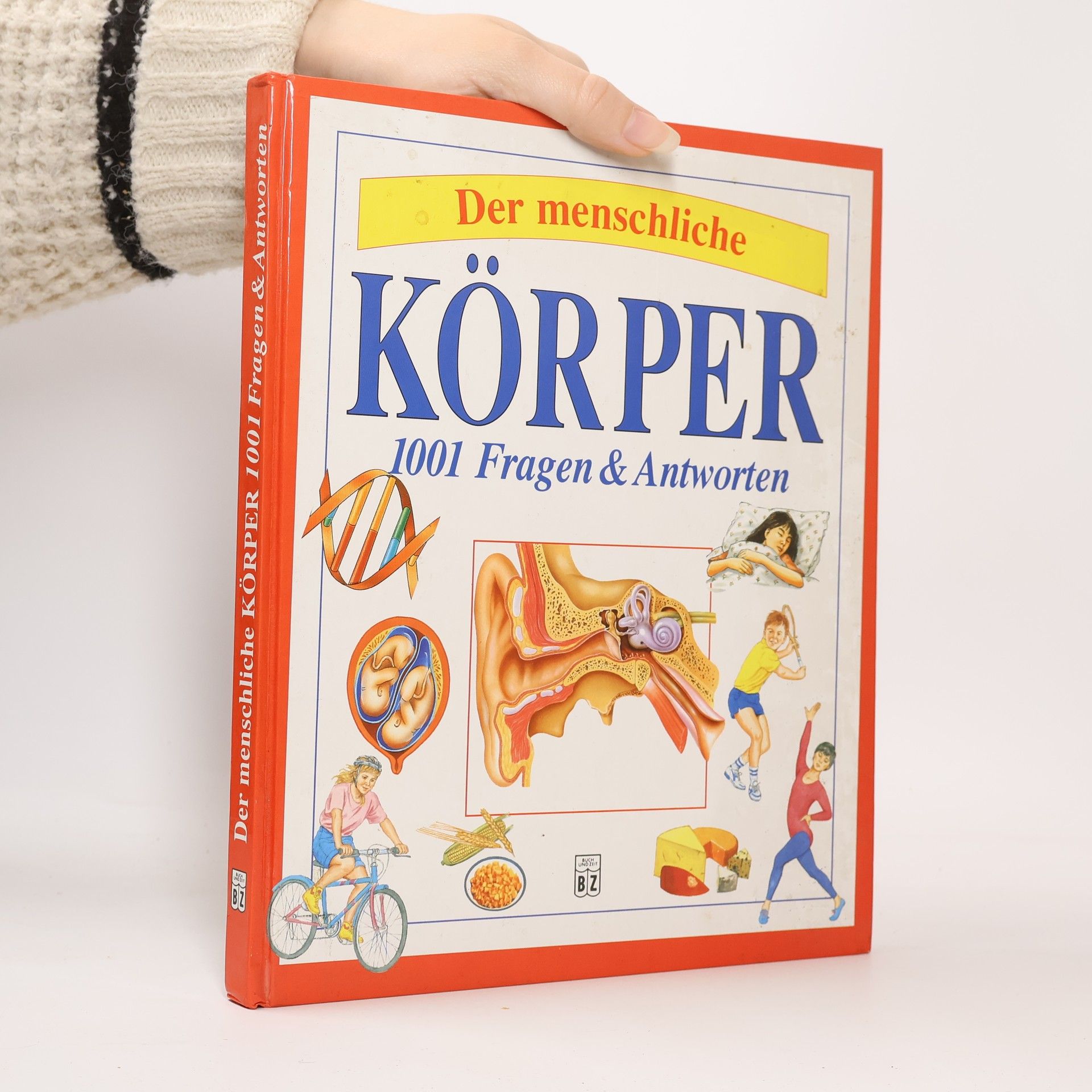 Autorenkollektiv Körper