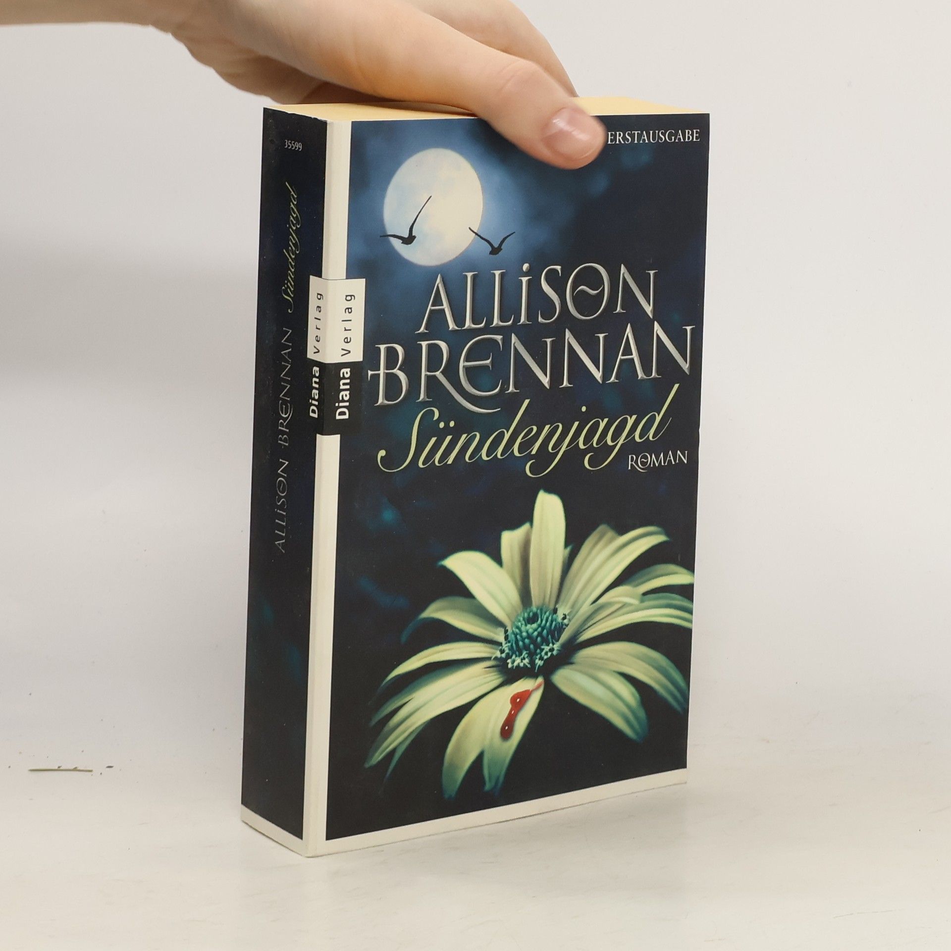 Allison Brennan Sündenjagd