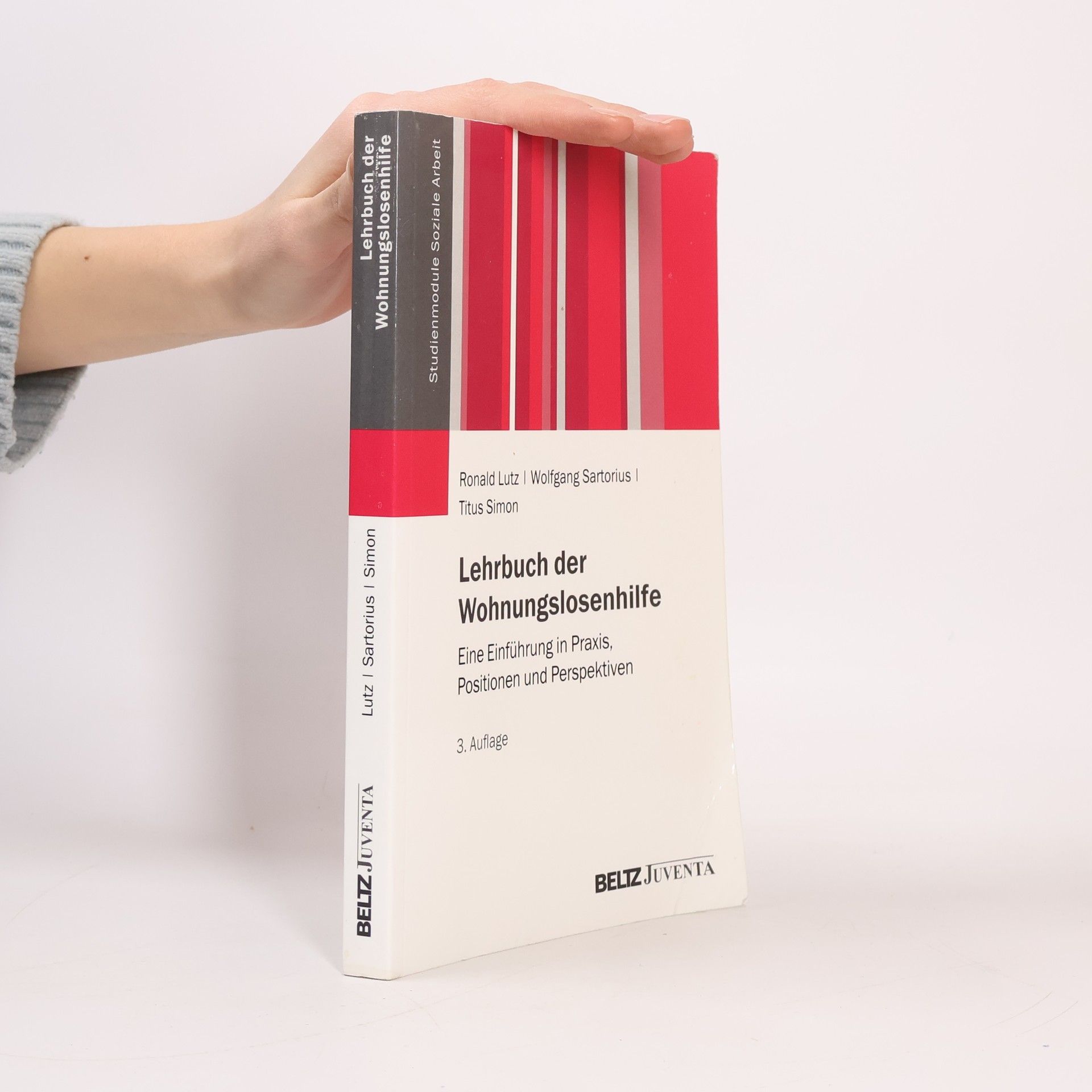 Ronald Lutz Lehrbuch der Wohnungslosenhilfe