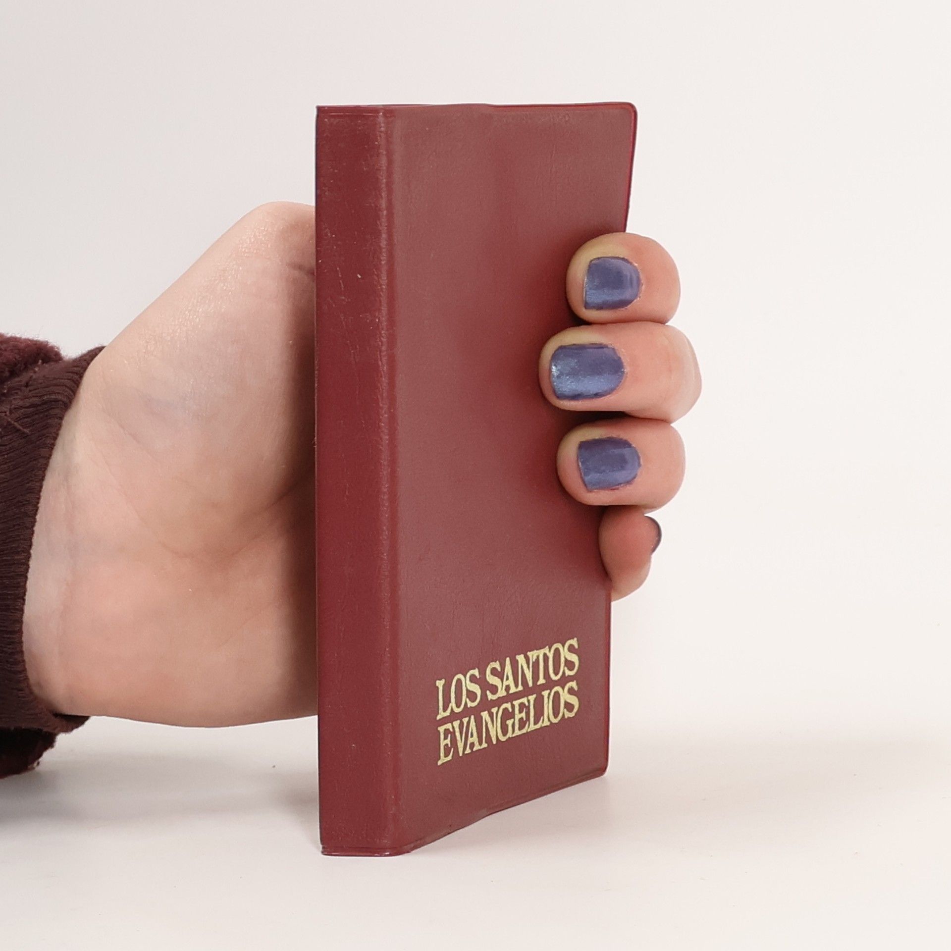 Autores varios Los Santos evangelios