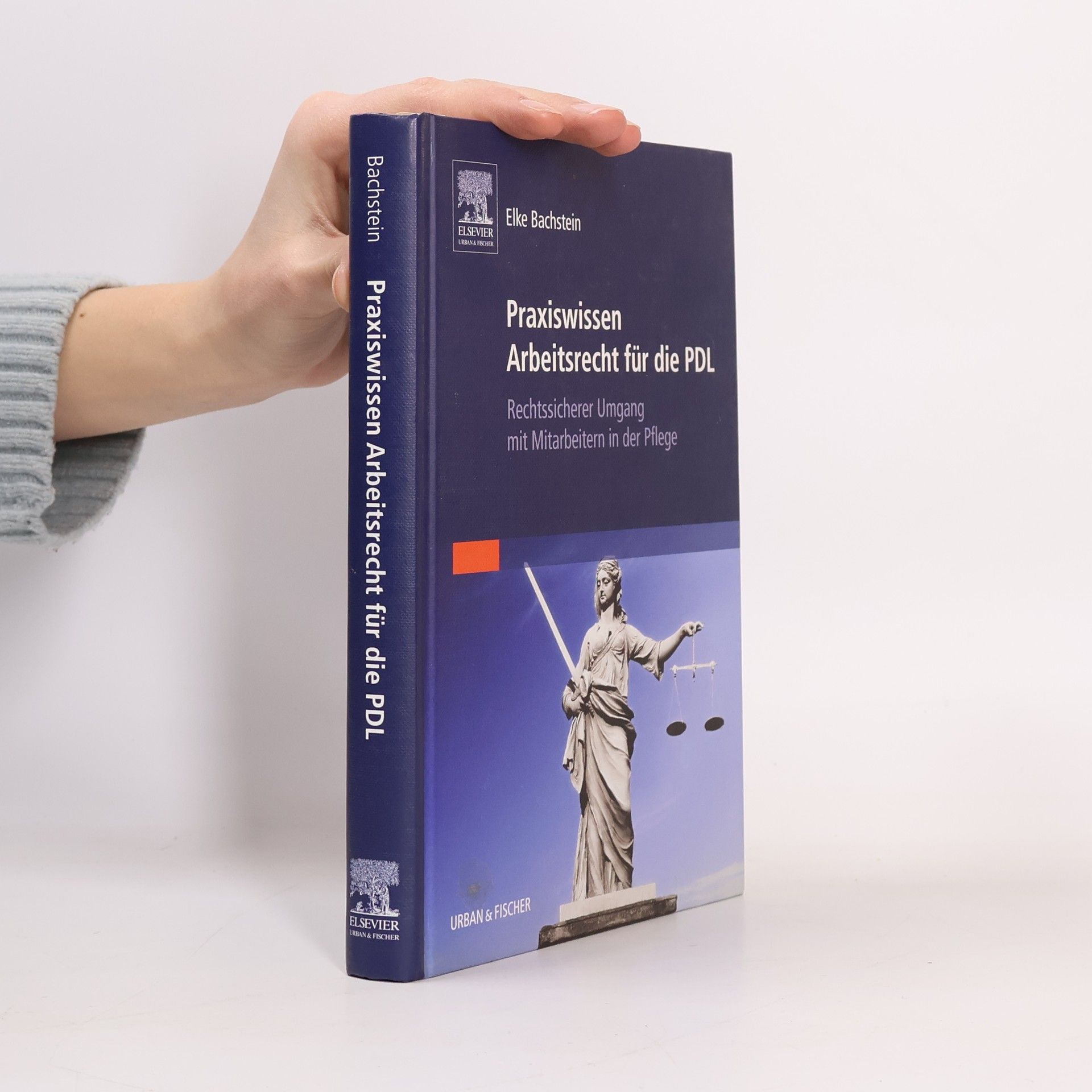 Elke Bachstein Praxiswissen Arbeitsrecht für die PDL