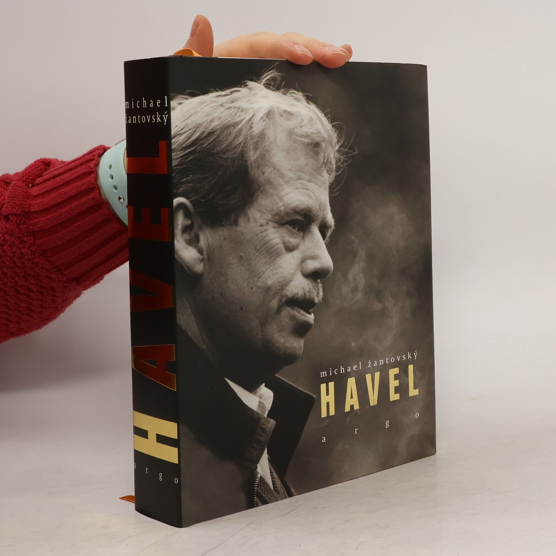 Michael Žantovský Havel