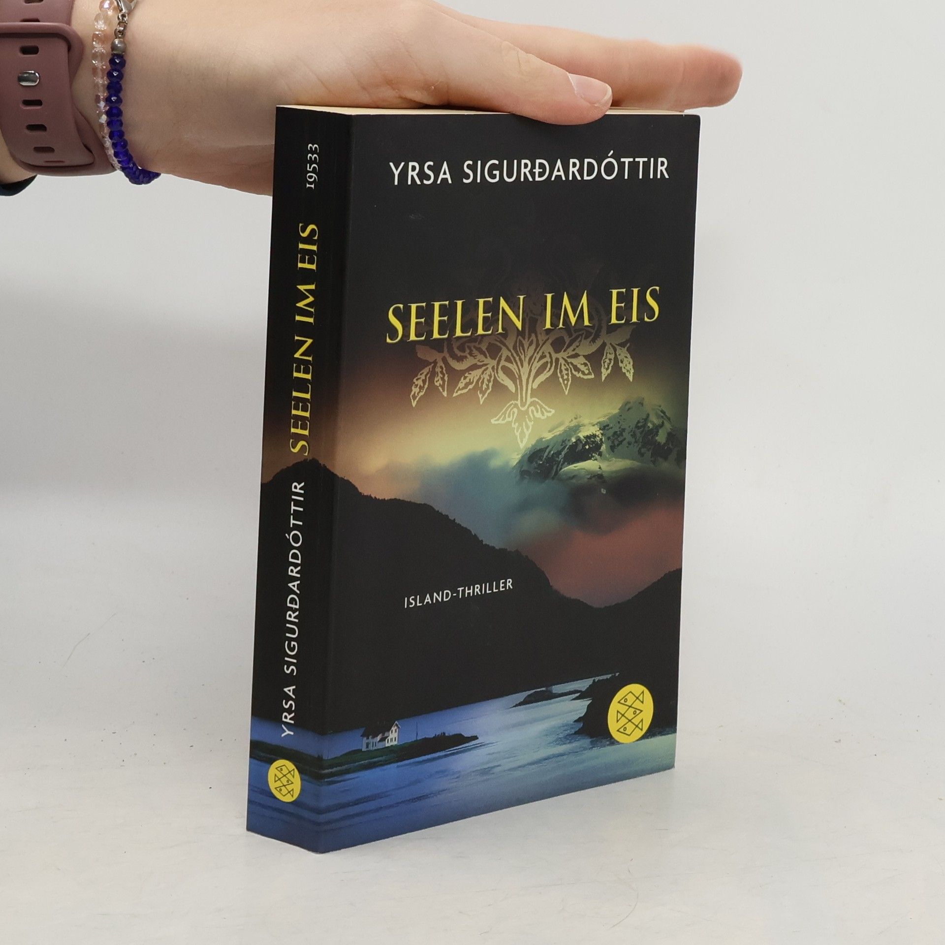Yrsa Sigurðardóttir Seelen im Eis
