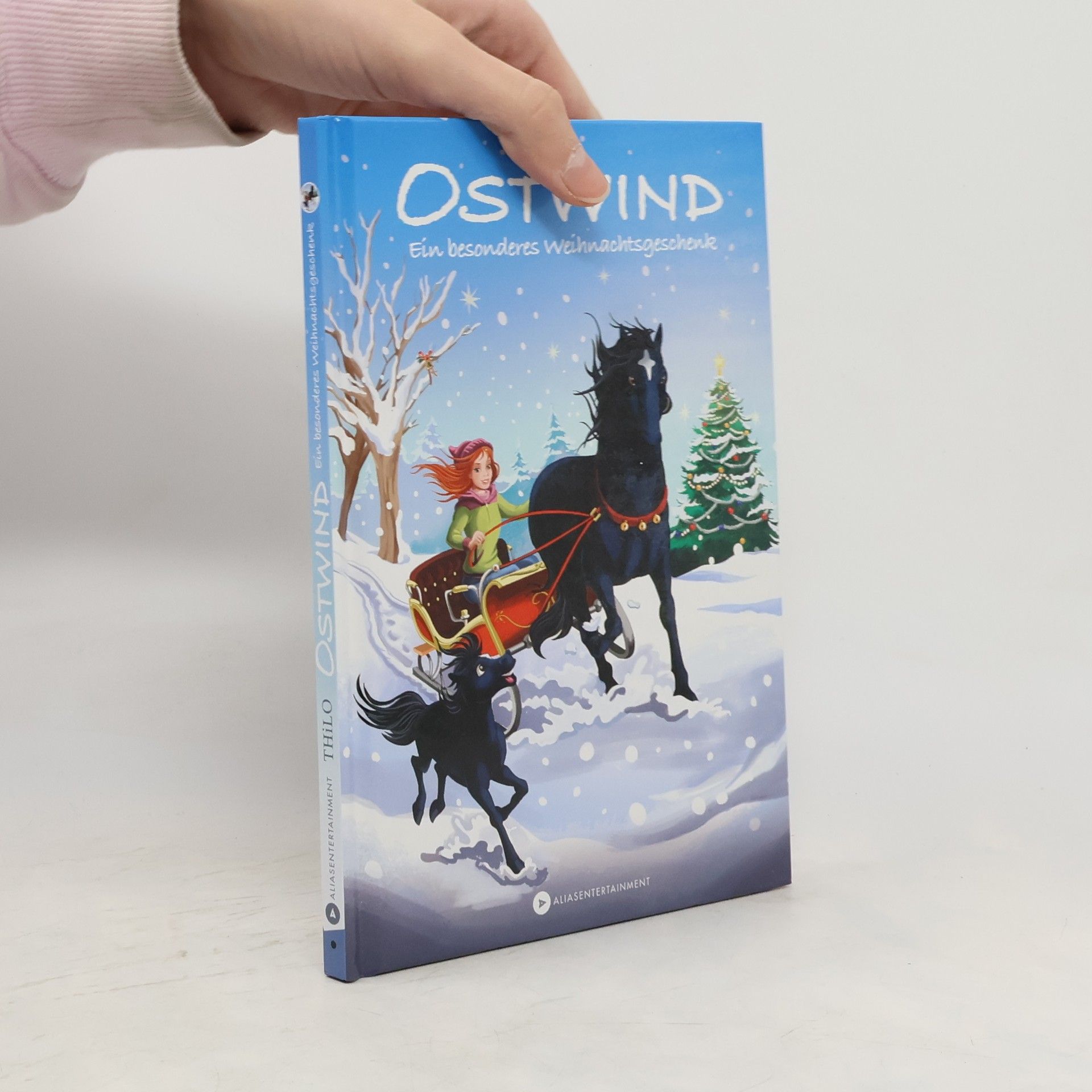 Thilo Petry-Lassak Ostwind - Ein besonderes Weihnachtsgeschenk