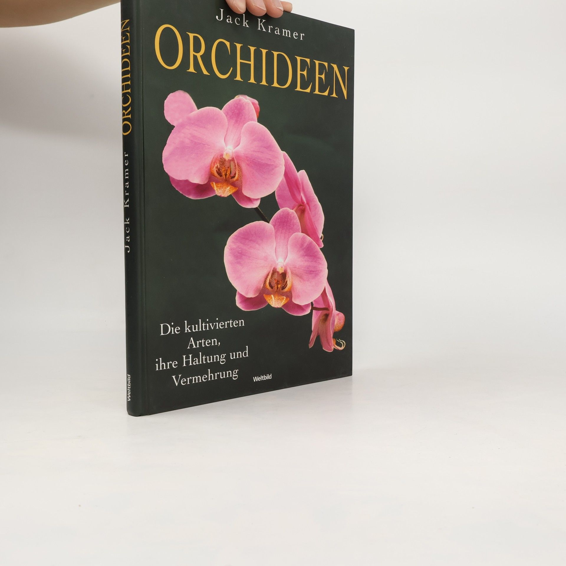 Orchideen