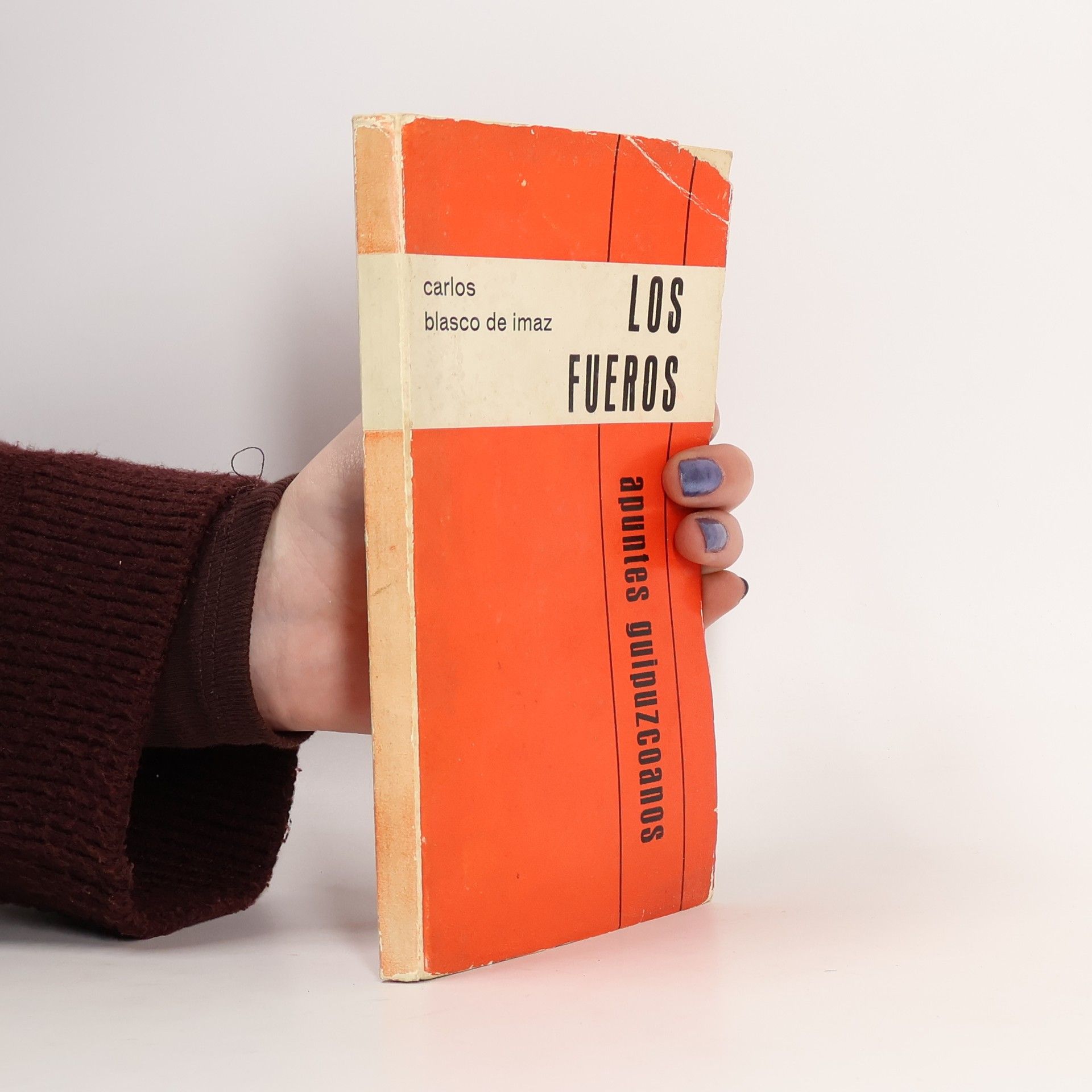 Carlos Blasco de Imaz Los fueros