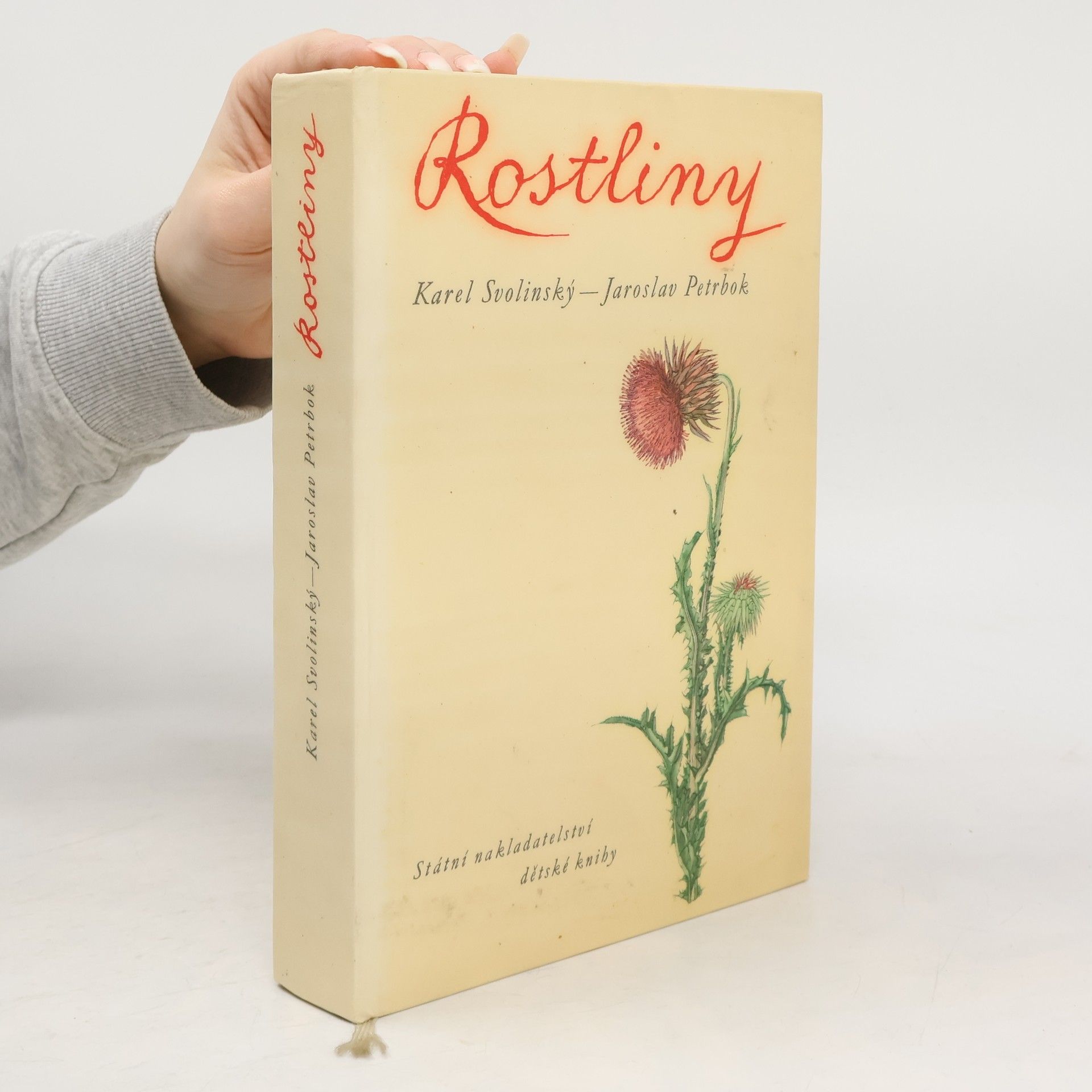 Karel Svolinský Rostliny