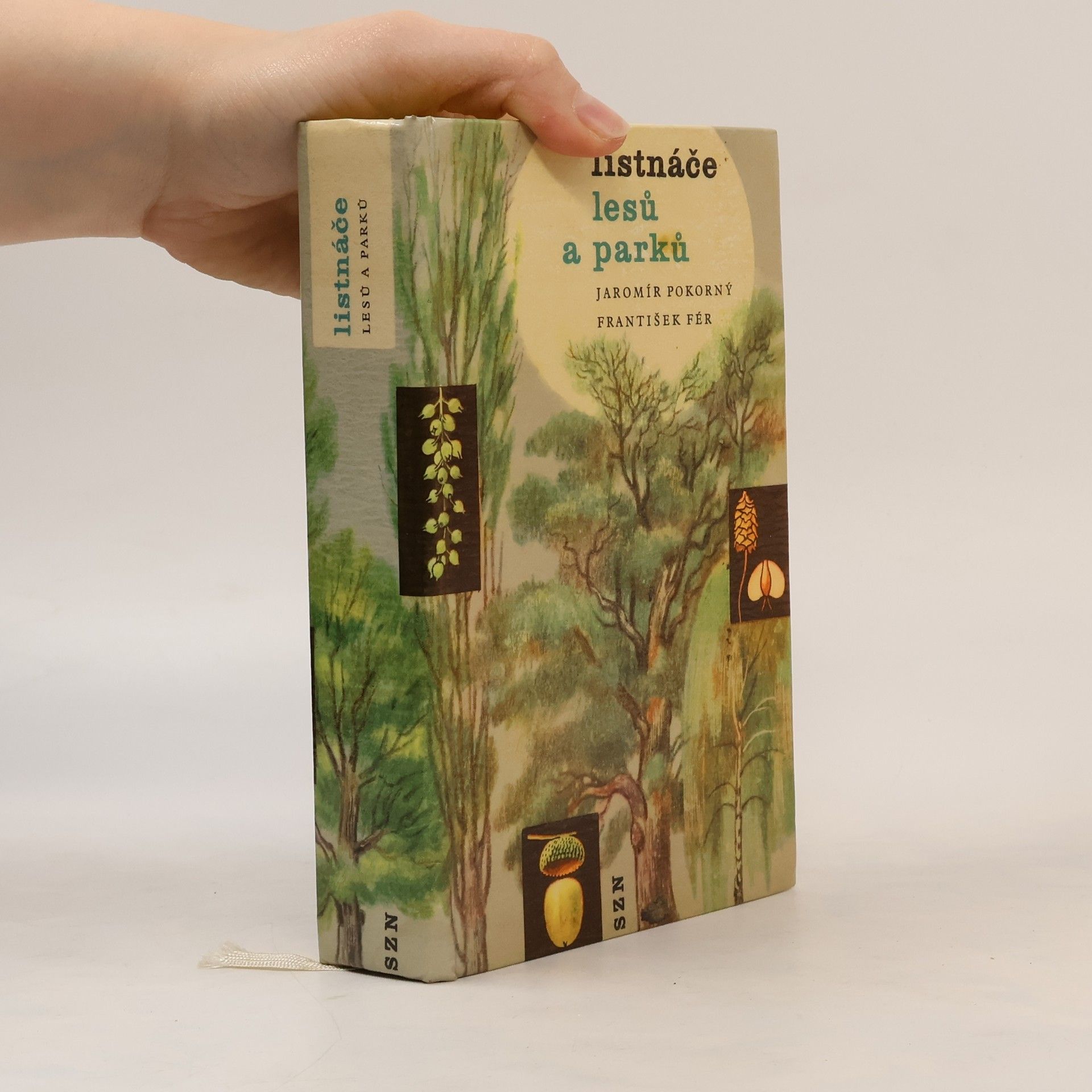 Jaromír Pokorný Listnáče lesů a parků