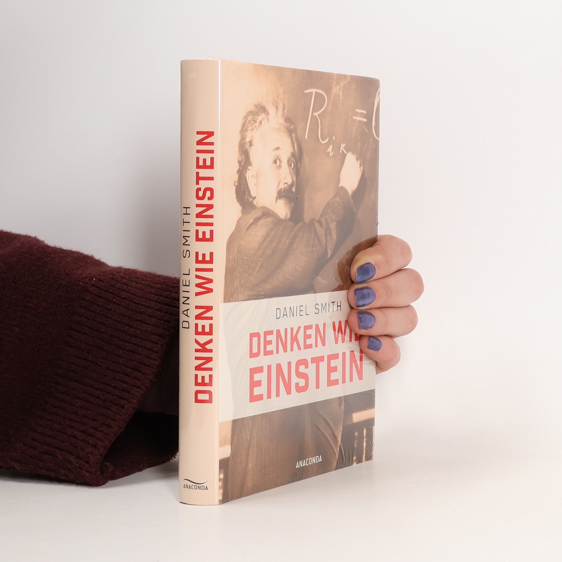 Daniel Smith Denken wie Einstein